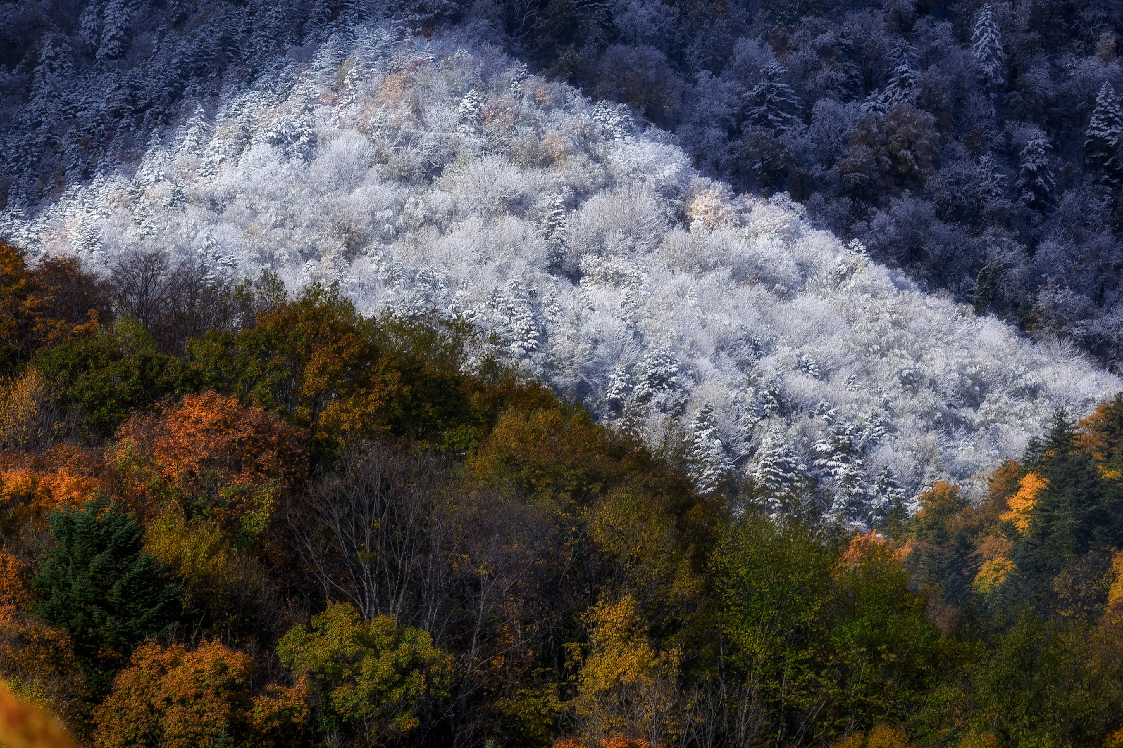 2024-04-hokkaido-2-image-7