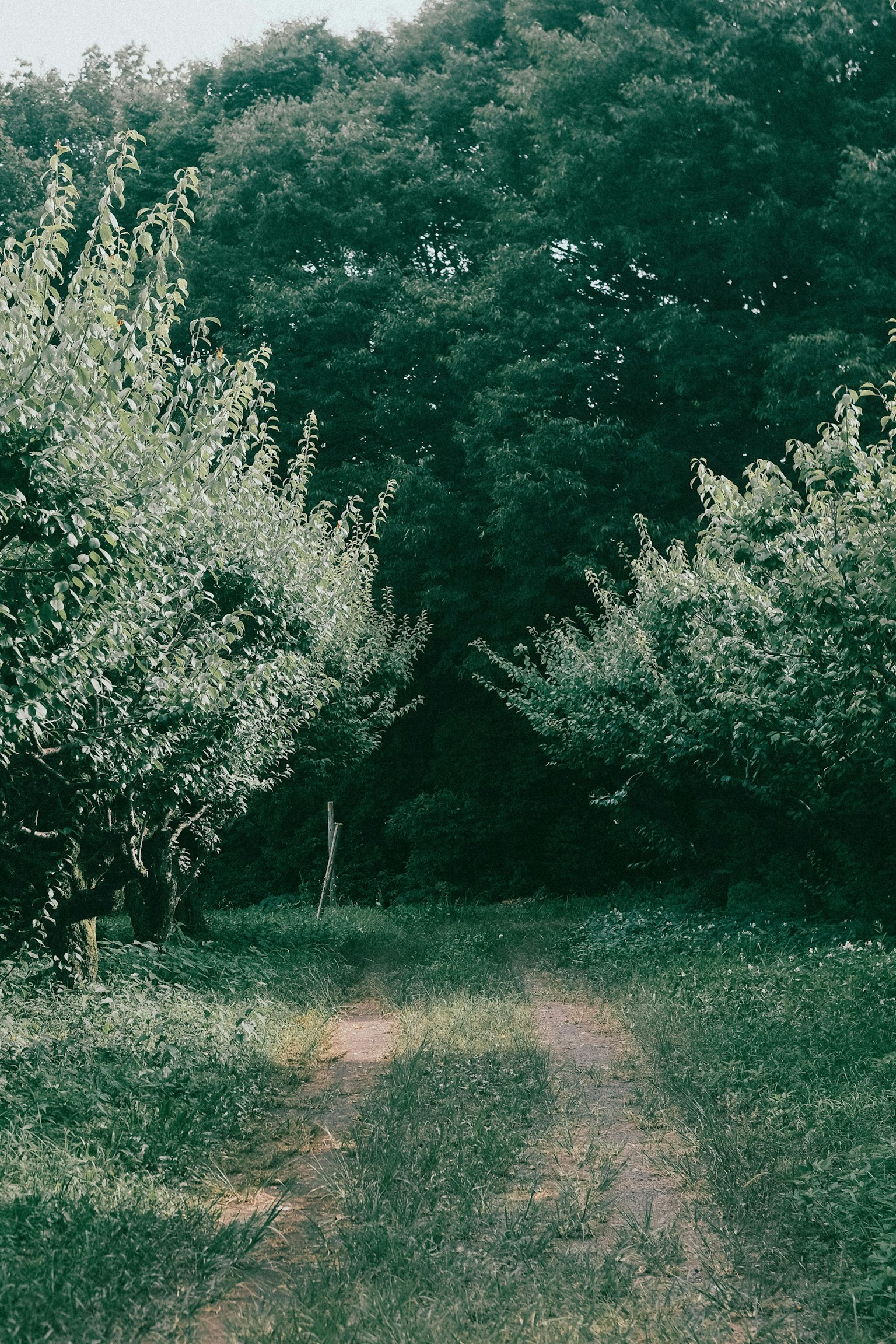 2025-07-snap-report-image-9