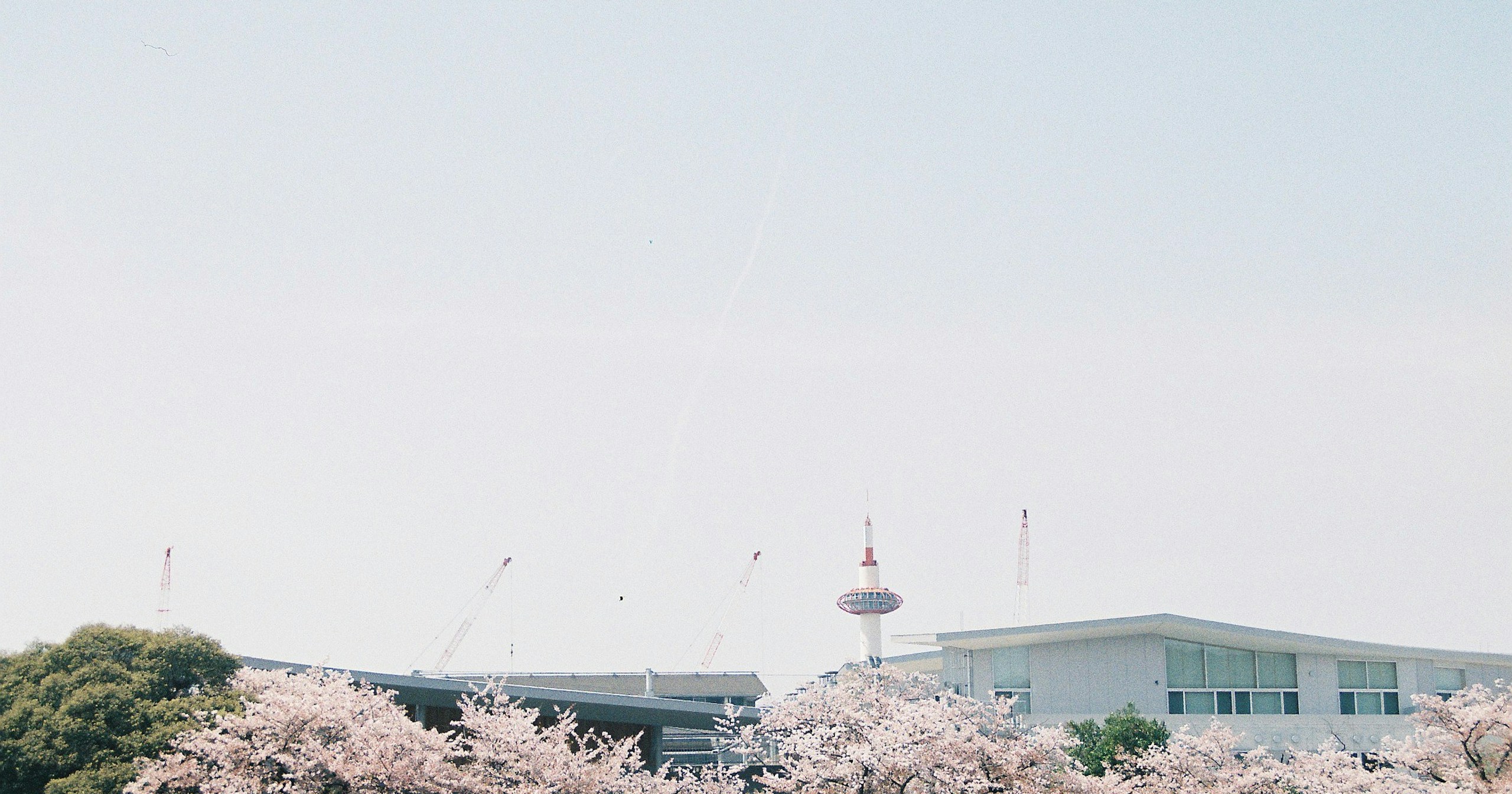 cizucu 크리에이터 미트업 in Kyoto 첫 개최 | Release #140