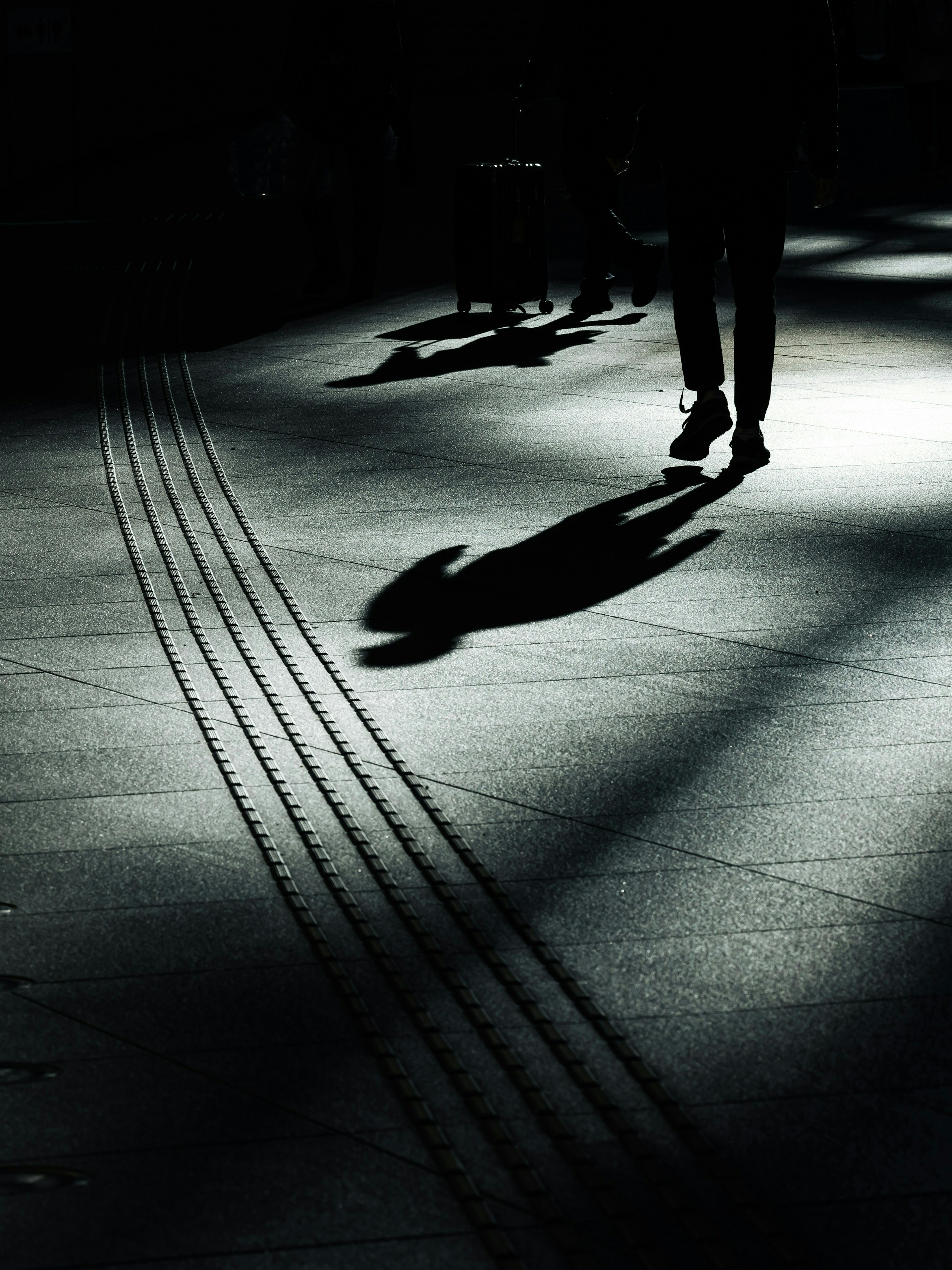 Photo by むめい