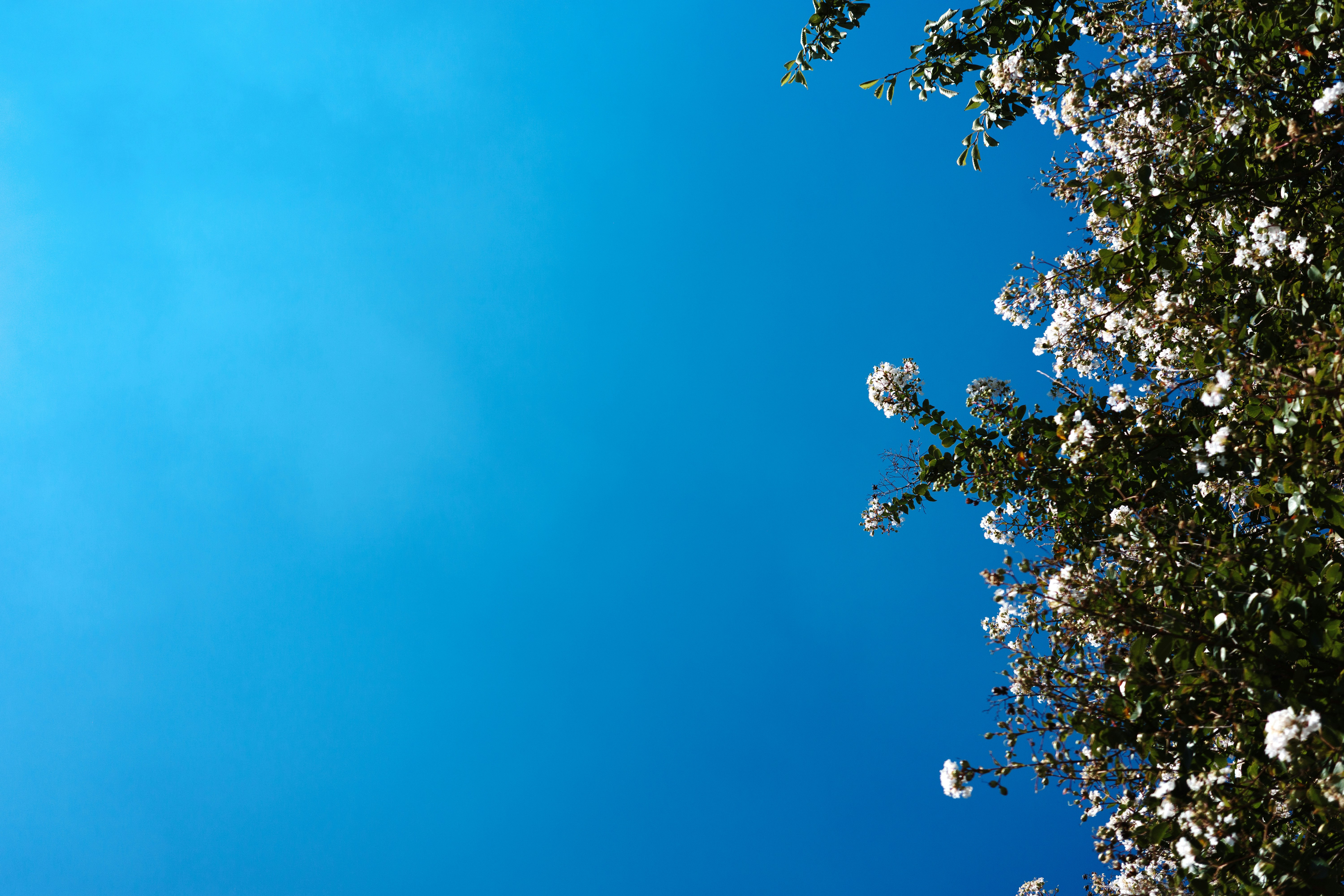 2025-10-digital-look-in-photography-cover-image