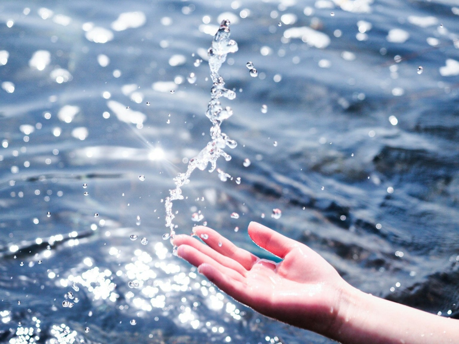 2025-07-catch-the-flow-award-image-11