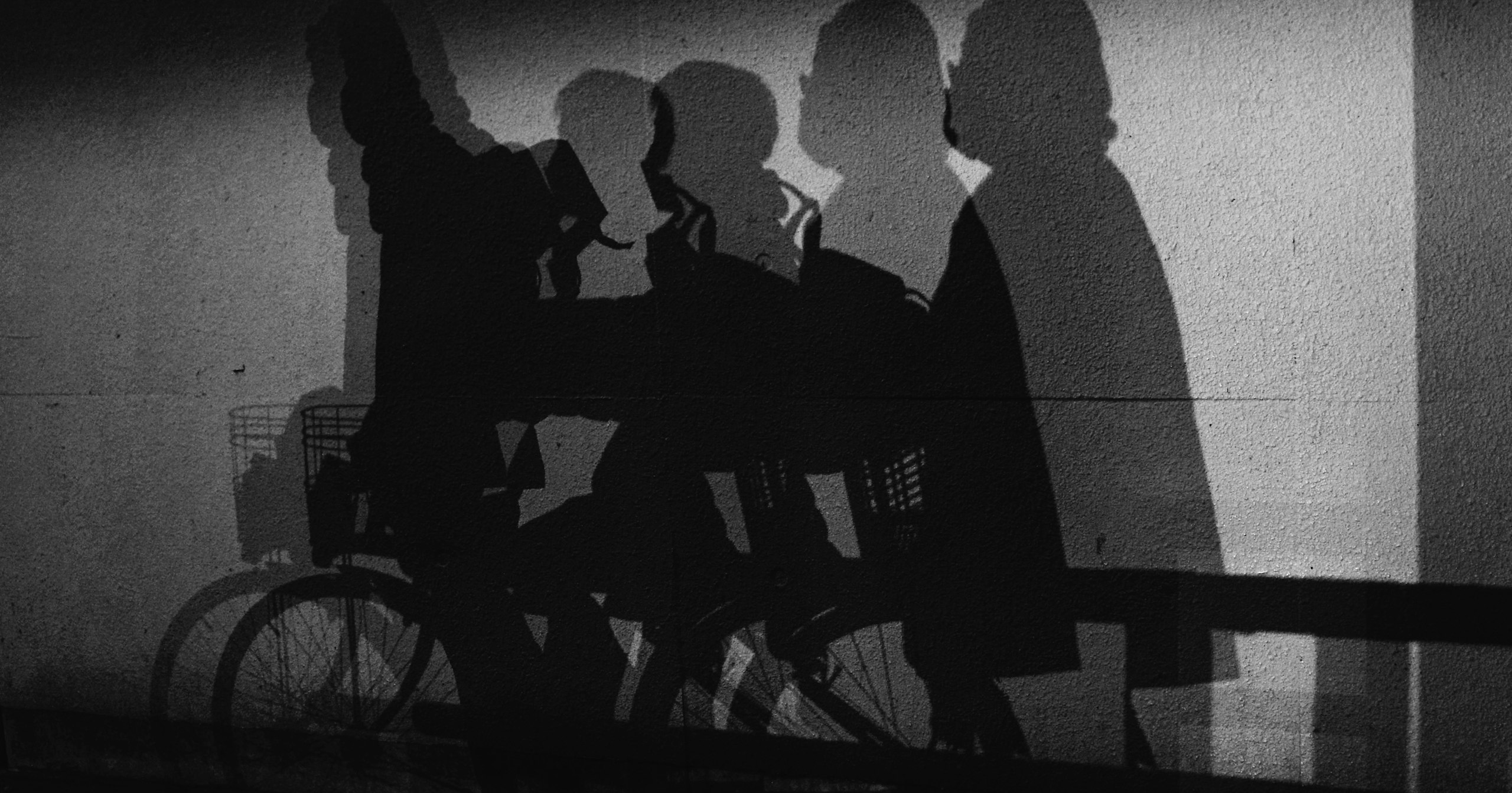 2026-01-shadow-cover-image