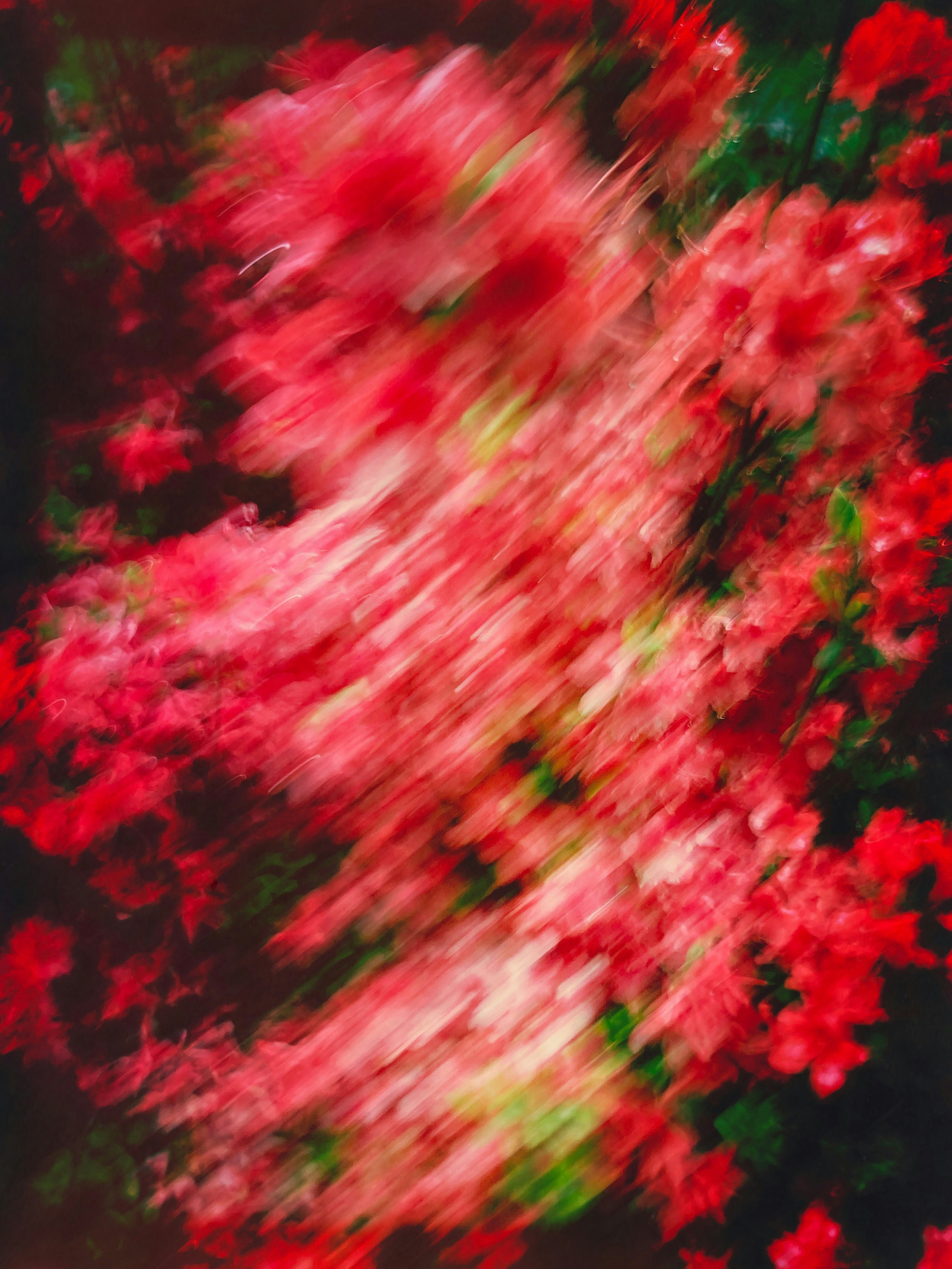 2025-05-lens-image-4