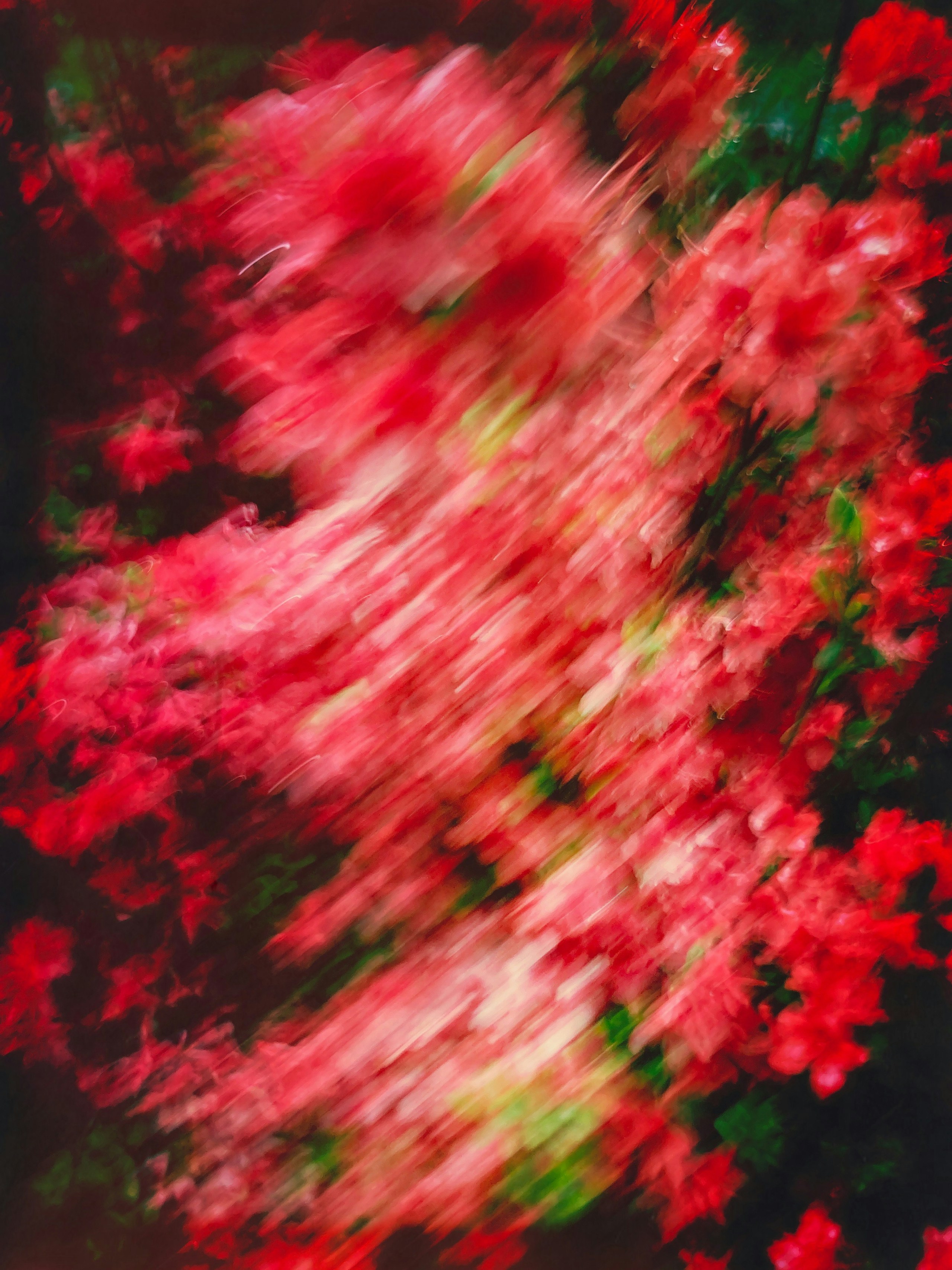 2025-05-lens-image-4