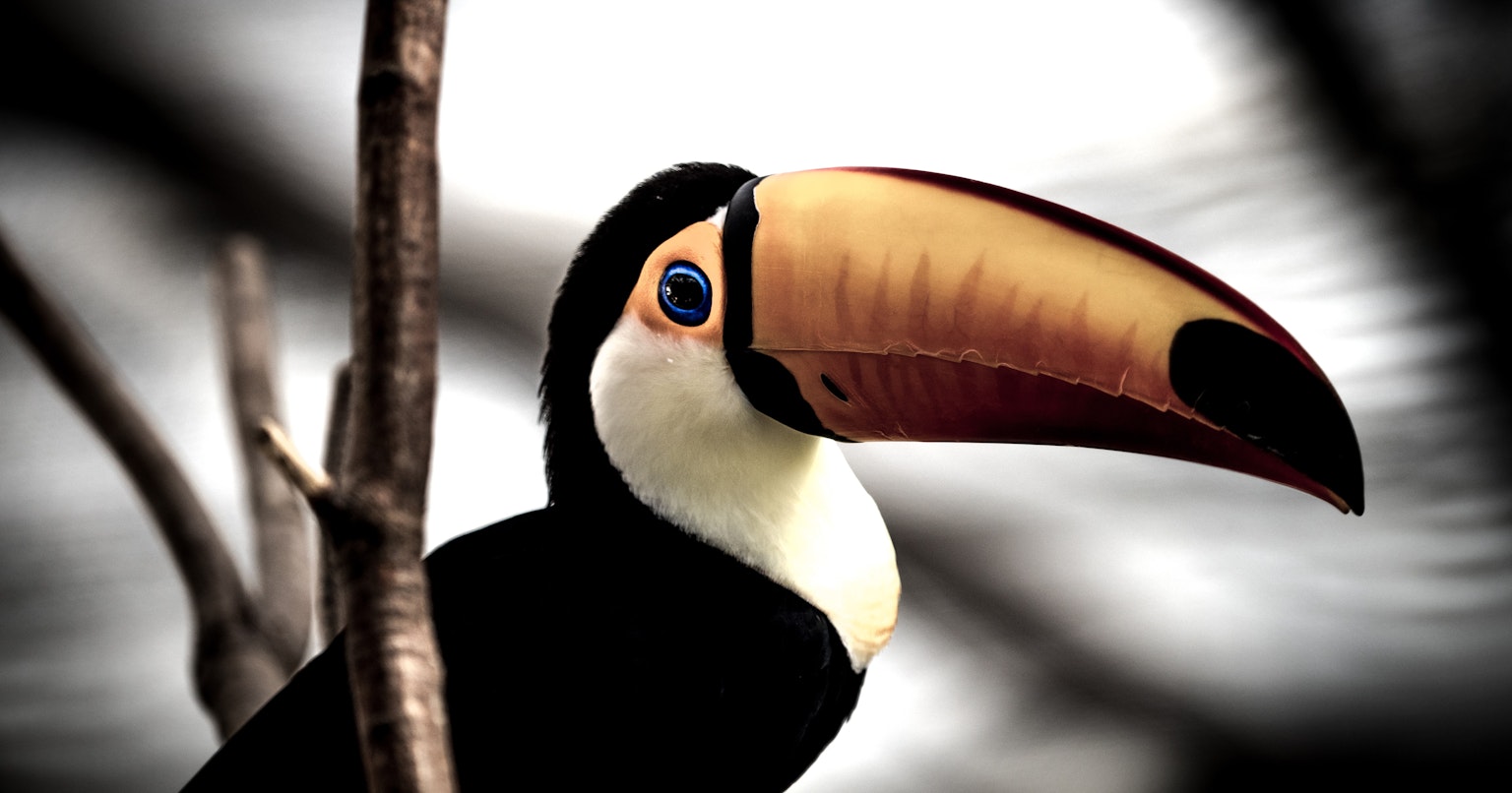 2024-09-adobe-firefly-video-cover-image