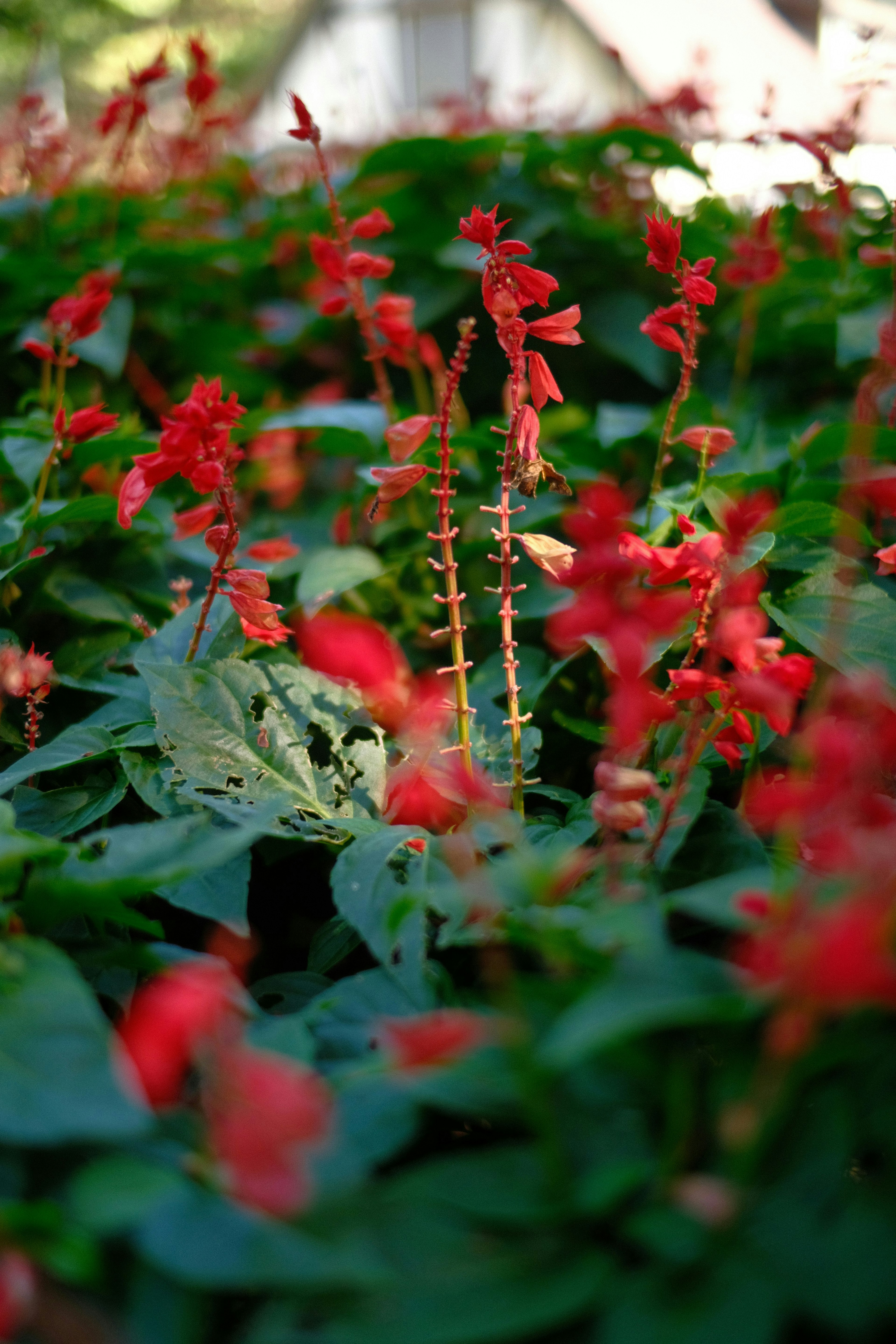 2025-05-masa-hands-on-photography-image-18