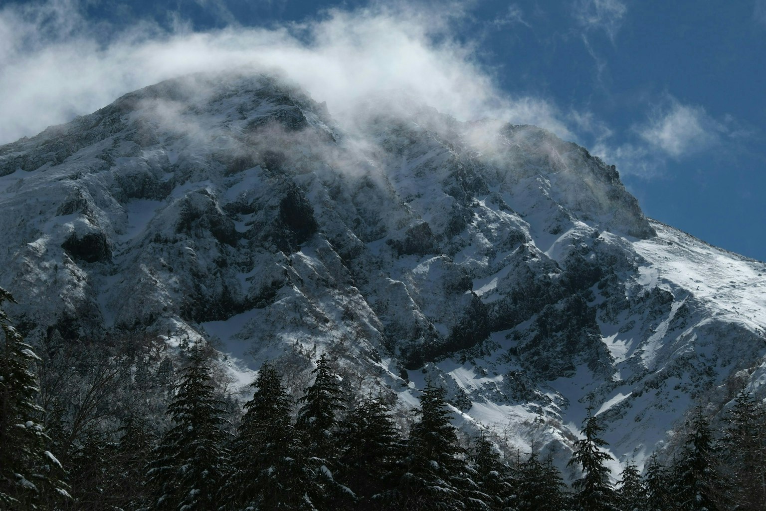 2025-02-february-diary-image-4
