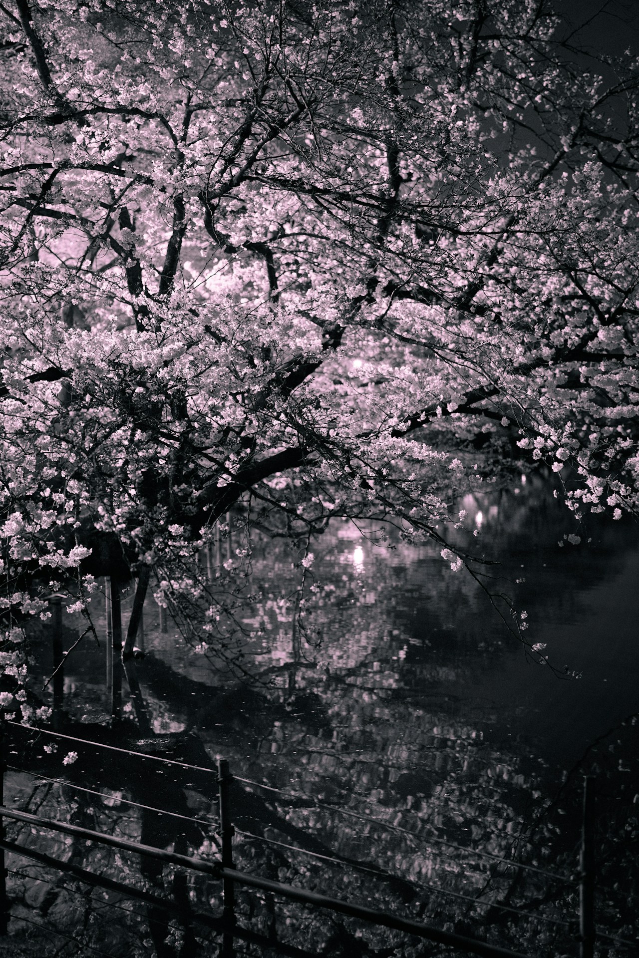 Photo by takitokk