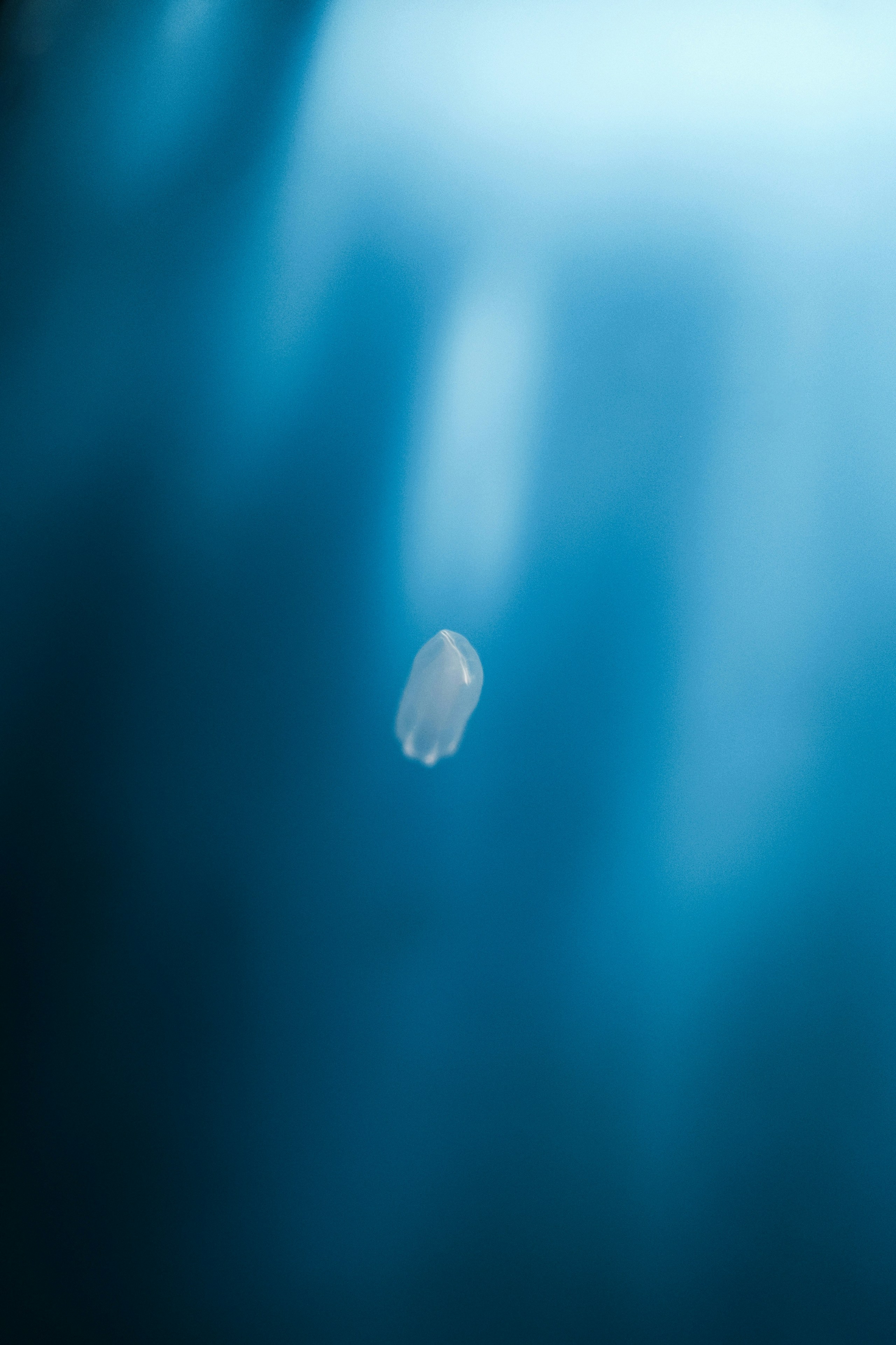 Googles Wasserzeichen-Technologie zur Erkennung von AI-generierten Fotos „SynthID“ | Release #441