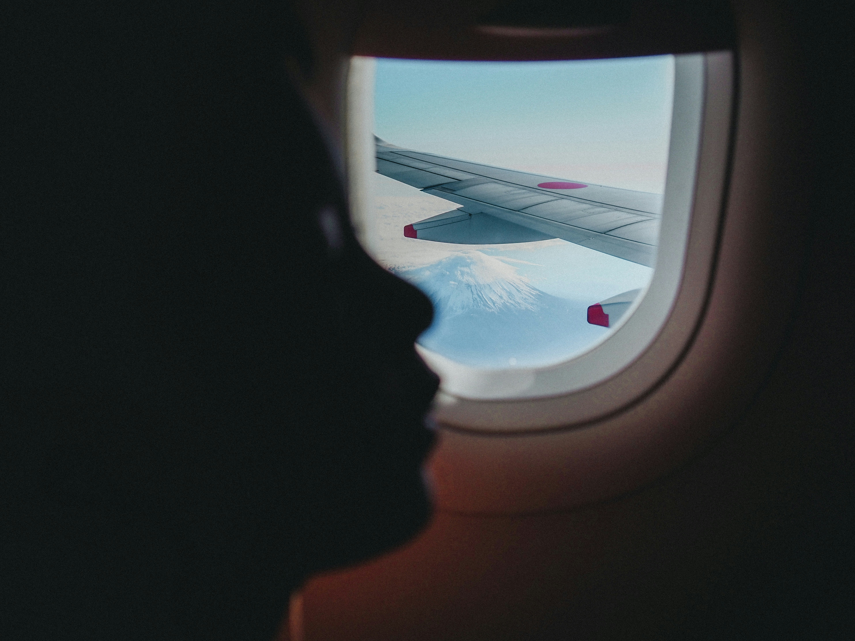 2026-01-pick-up-photos-no-294-298-cover-image