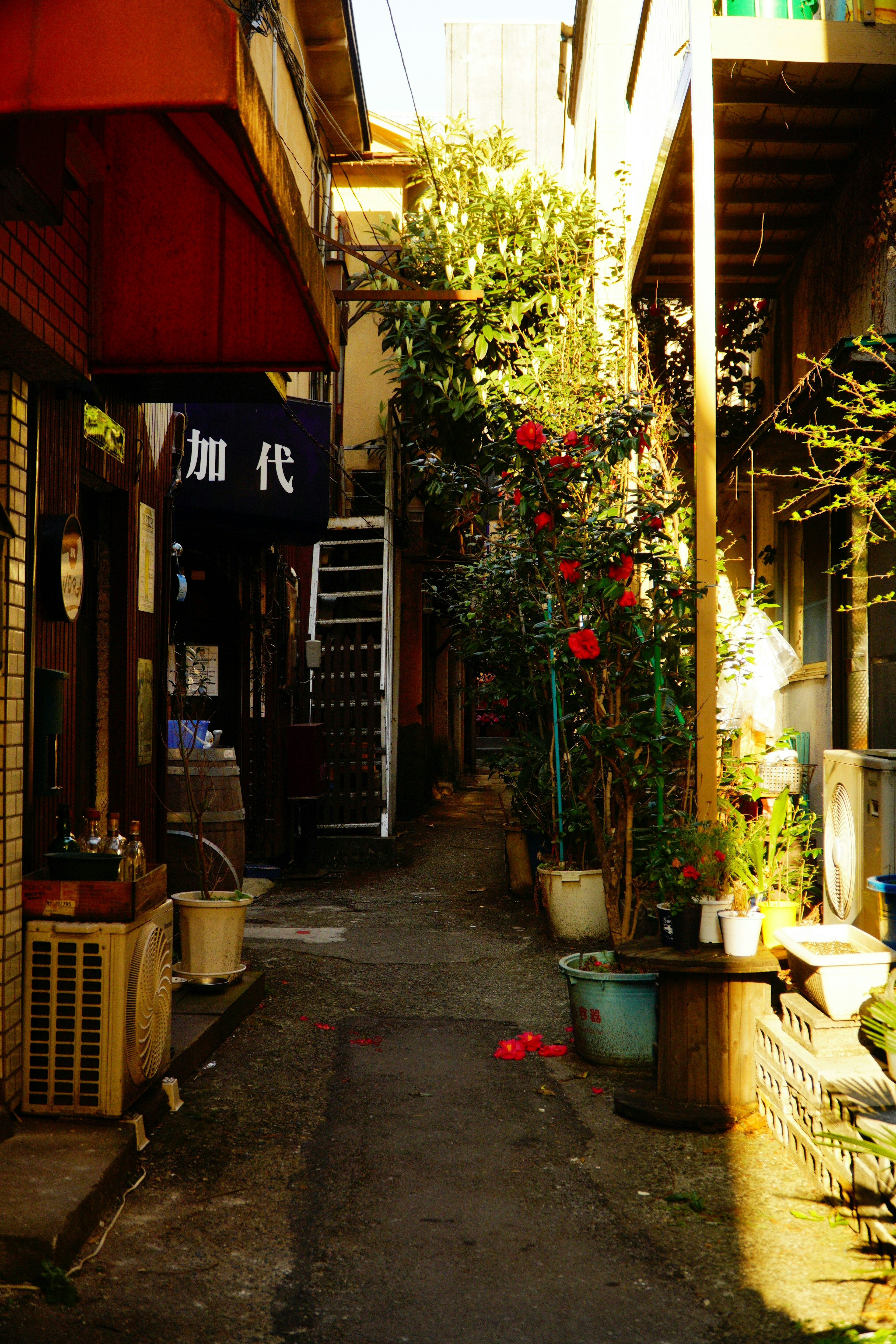 2024-04-oshanpo-report-image-7
