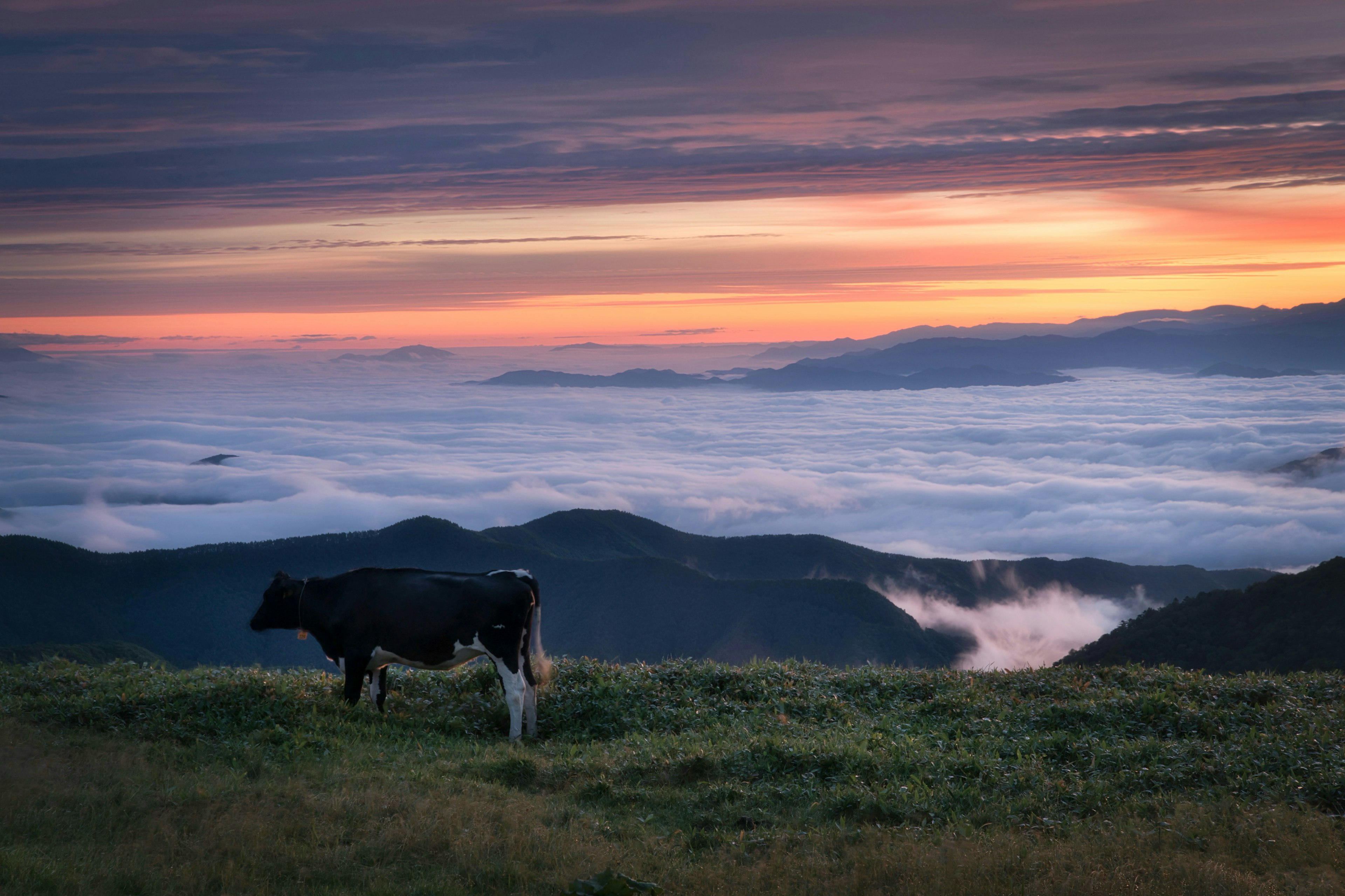 2024-11-sea-of-sky-photography-tips-image-9