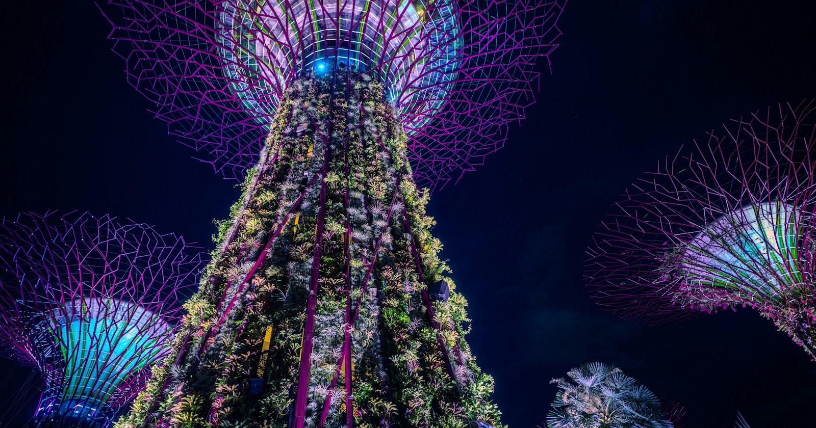 3 Key Questions for Key Creators in Singapore | ppp launch in Singapore | ISSUE #151