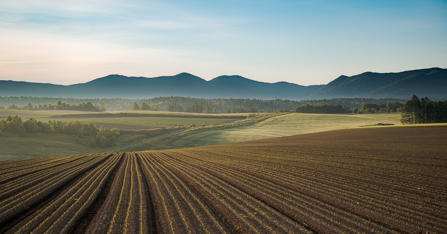 2024-08-early-summerluck-award-cover-image