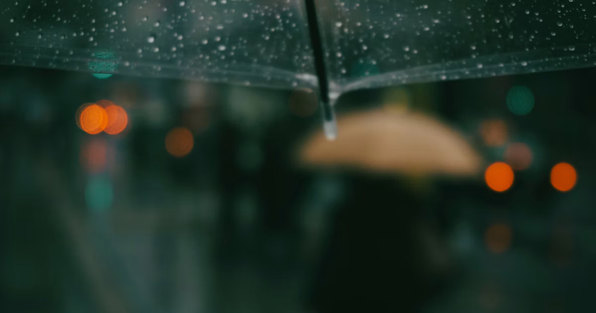 #rain | Regen macht die Konturen der Welt weicher | Focus #694