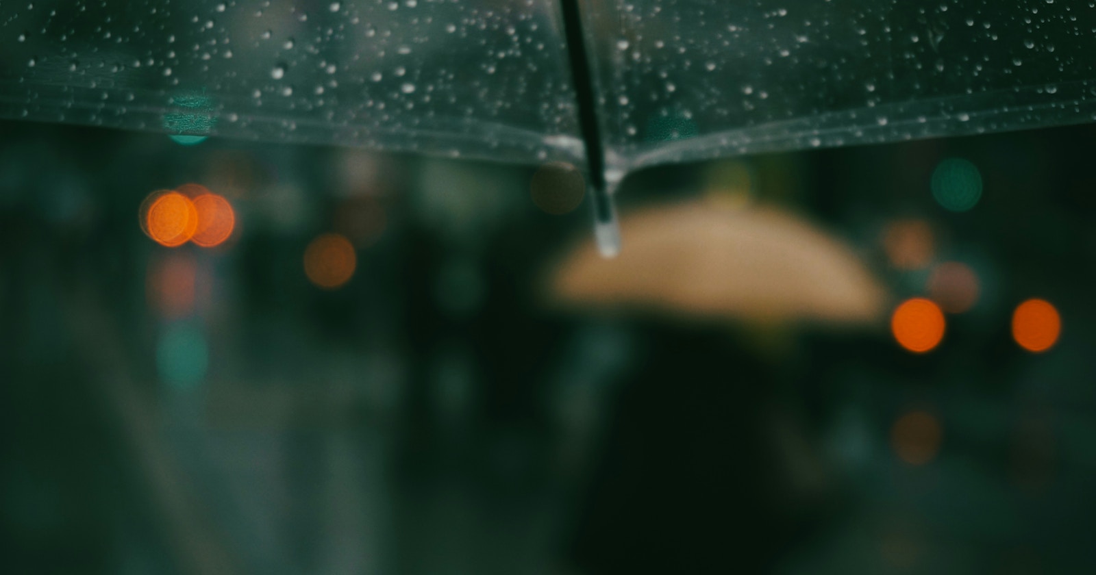 #rain | Regen macht die Konturen der Welt weicher | Focus #694