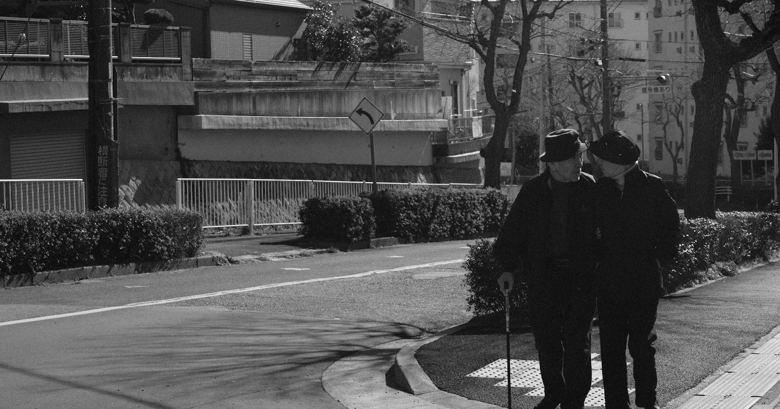 L'amour peut-il être capturé en photo ? | Knowledge #364