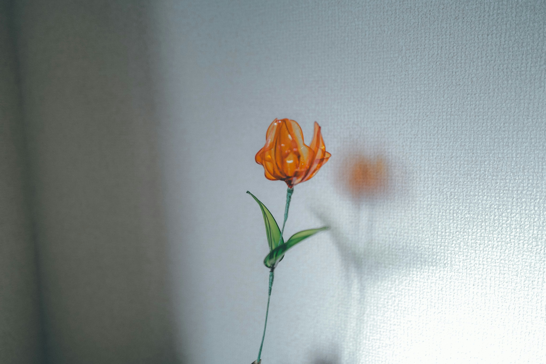 2026-08-photography-starts-with-color-cover-image