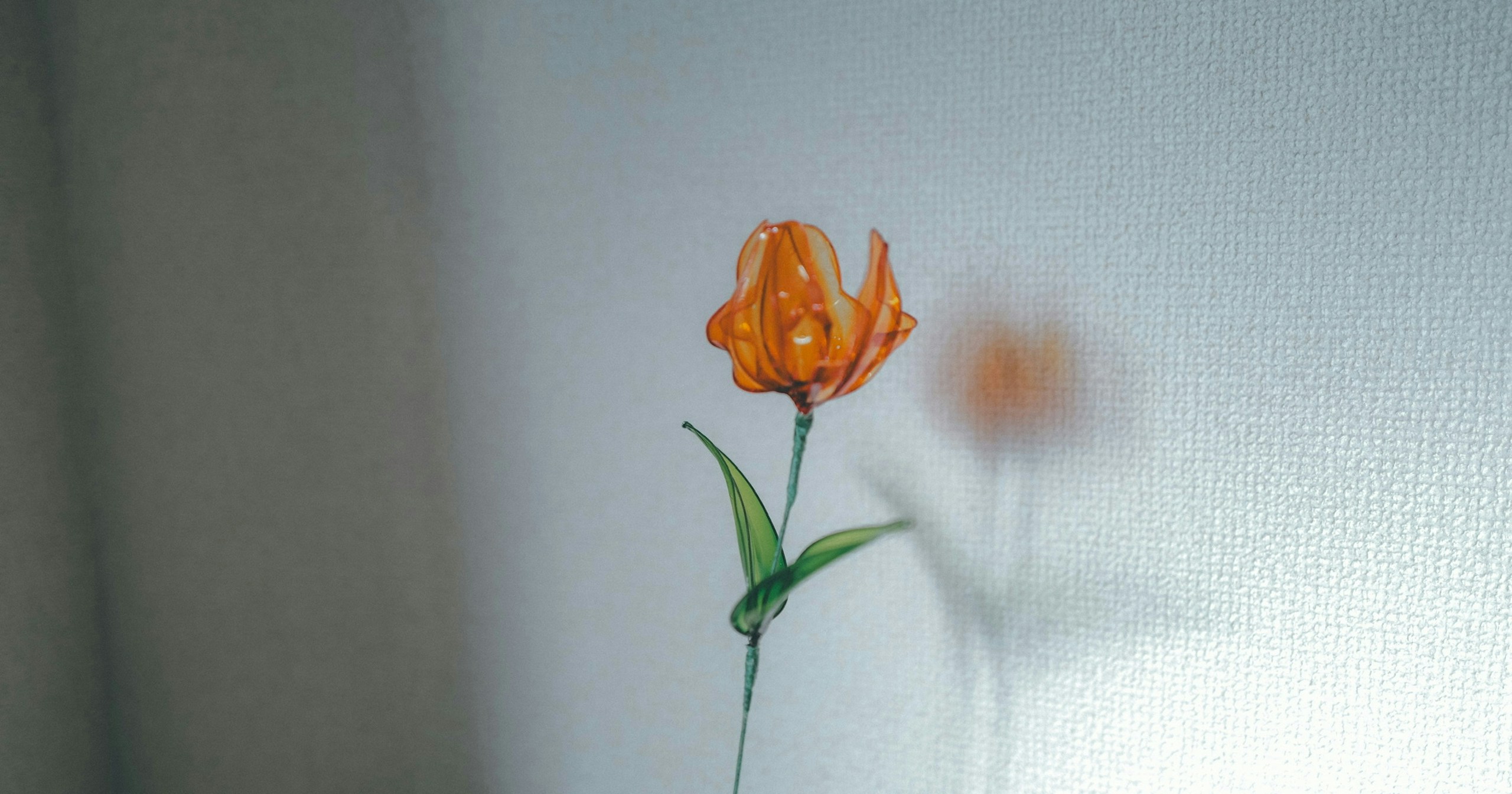 Aus Liebe zu dieser Farbe fotografiert: Wenn Fotografie mit Farbe beginnt | Focus #715