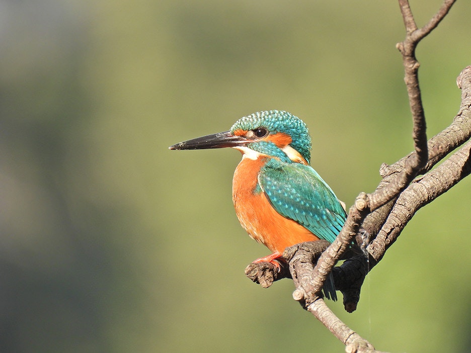 2024-03-find-your-cam-image-9