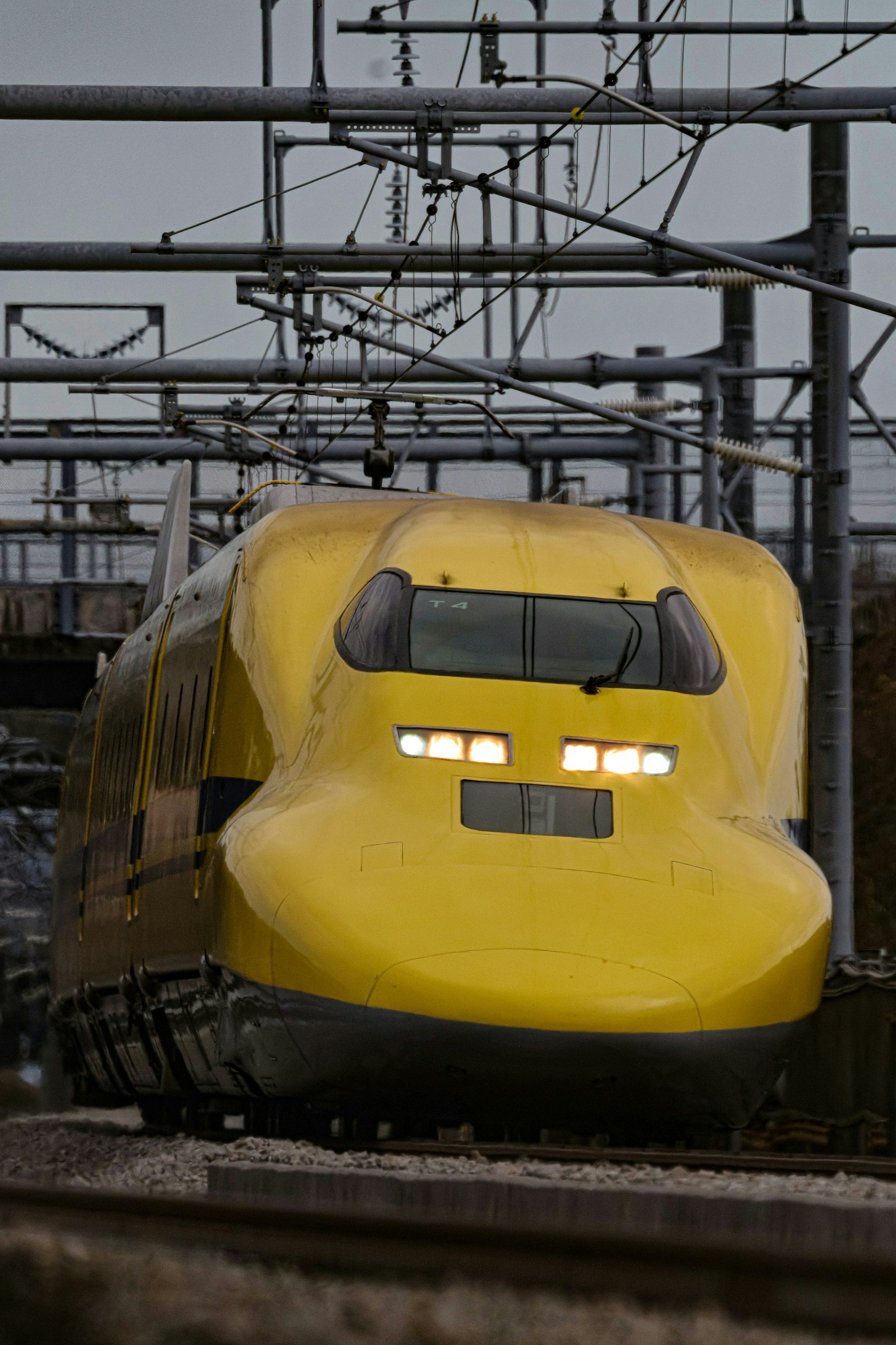 2025-03-tee-you-makes-colors-perfect-image-13