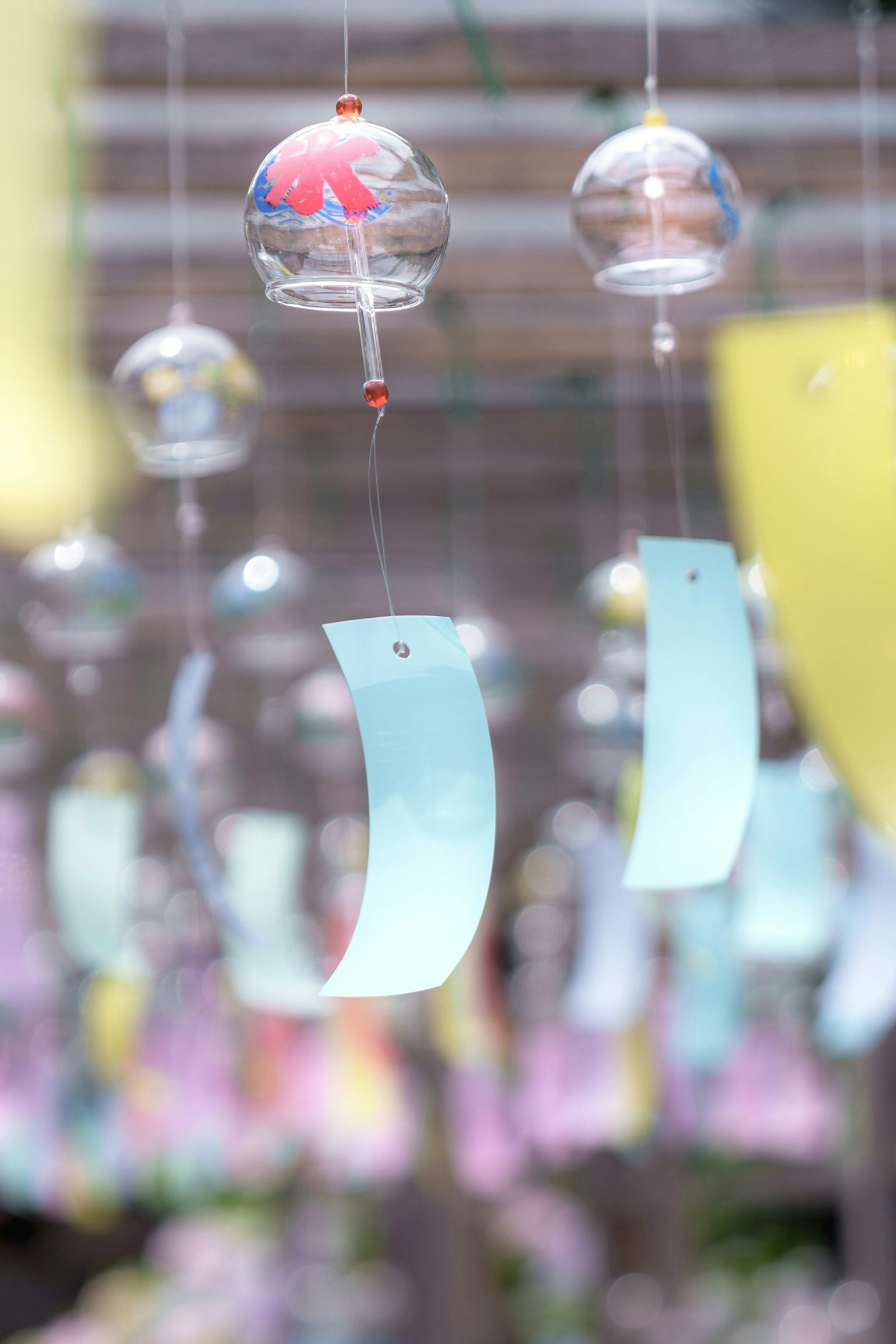 2025-07-days-with-color-image-12