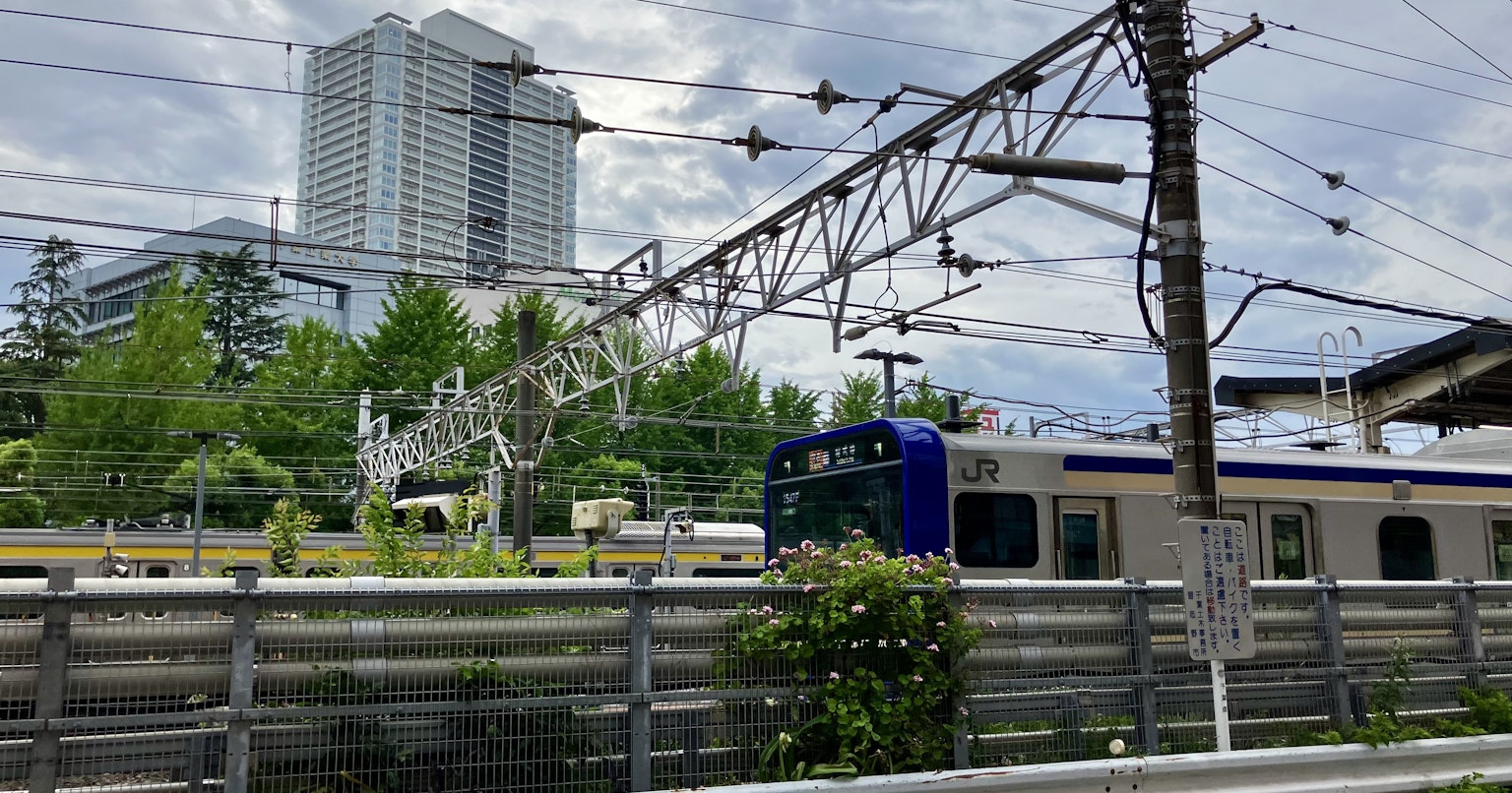 2024-07-traffic-report-cover-image