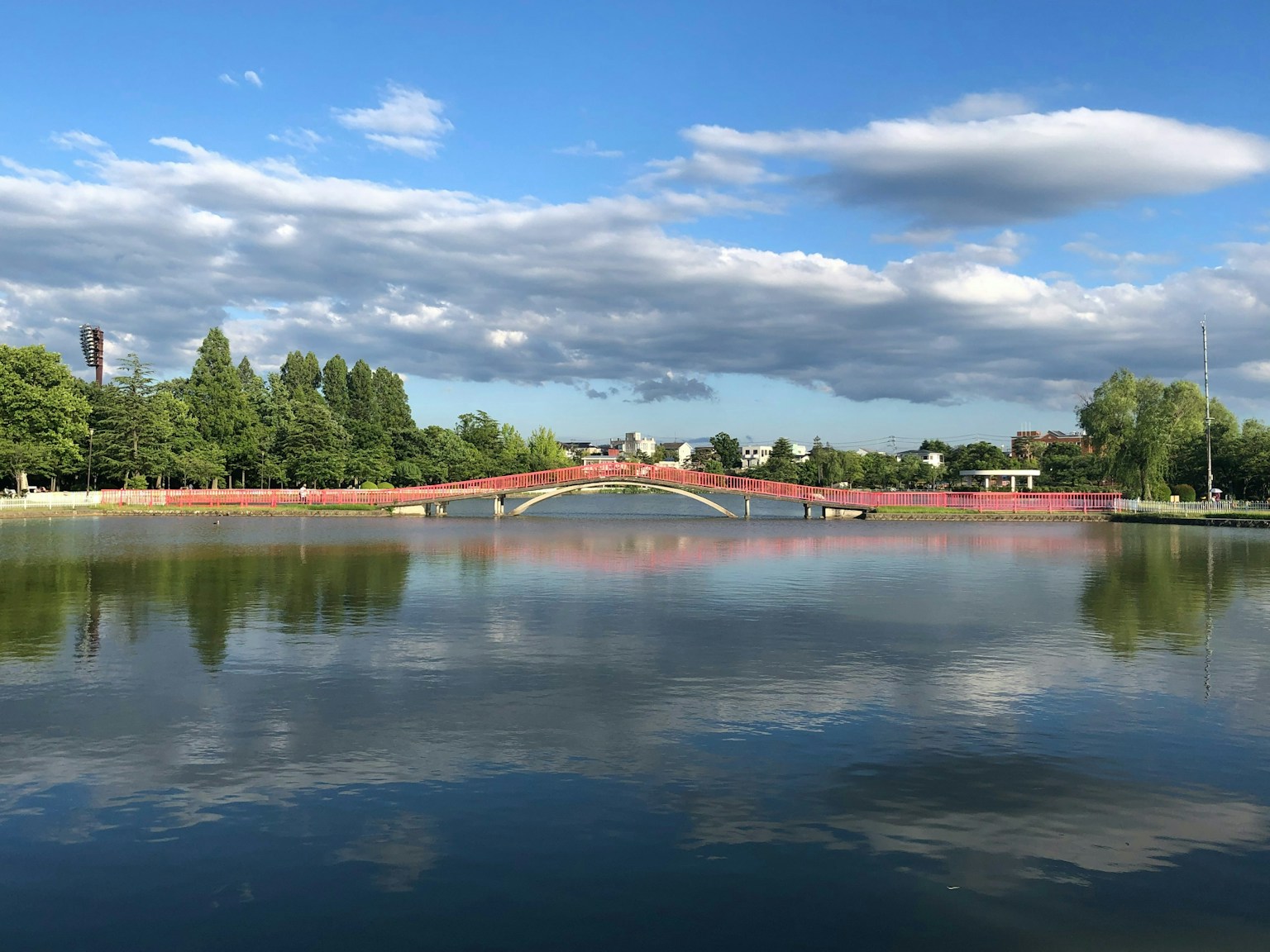 2025-12-parks-vibes-award-image-50