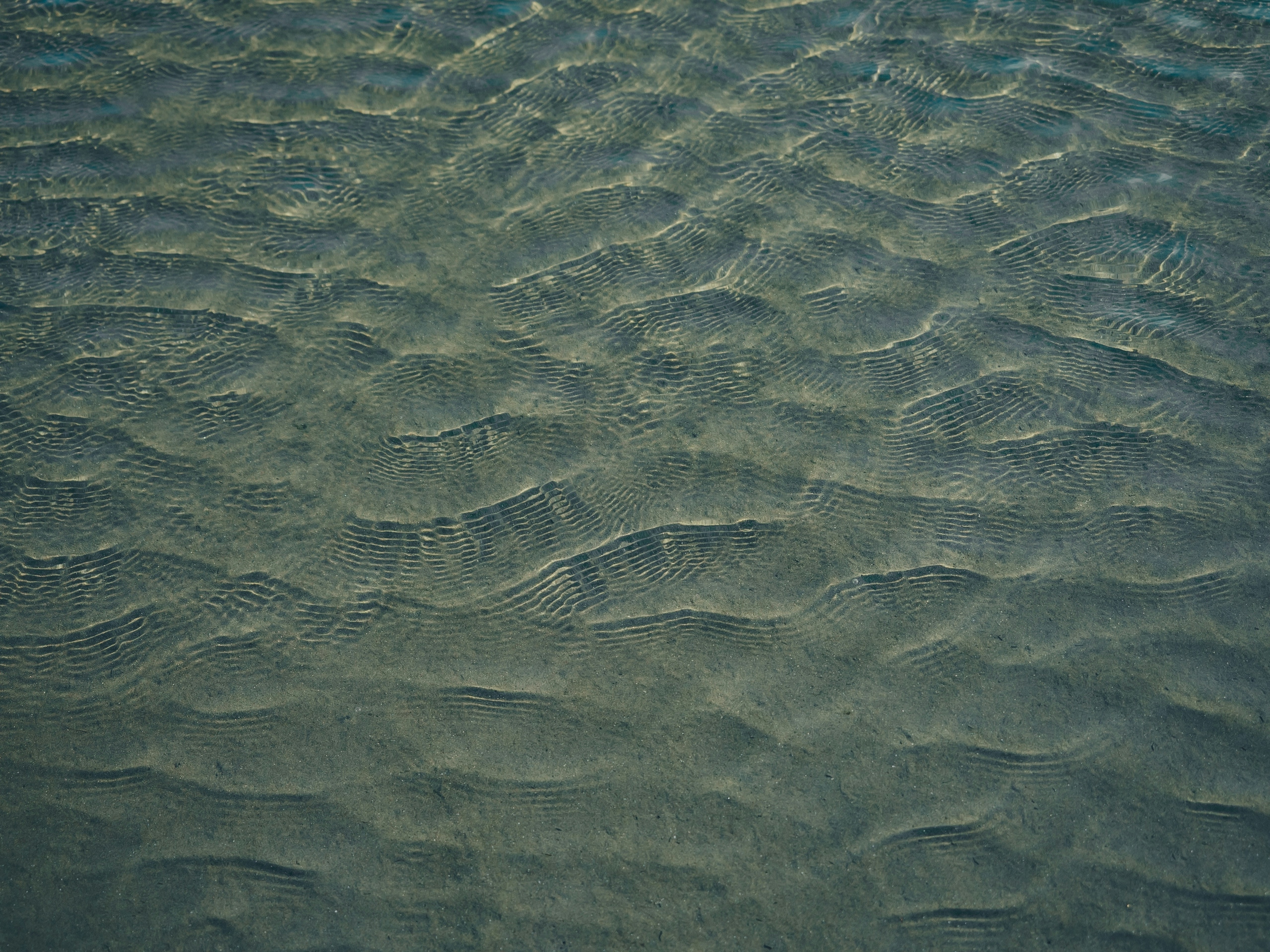 2026-08-wave-cover-image