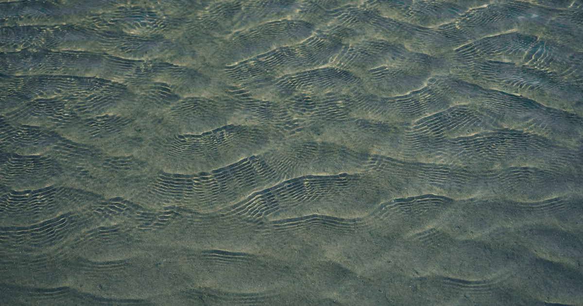 #wave | 夏を揺らすもの | Focus #724