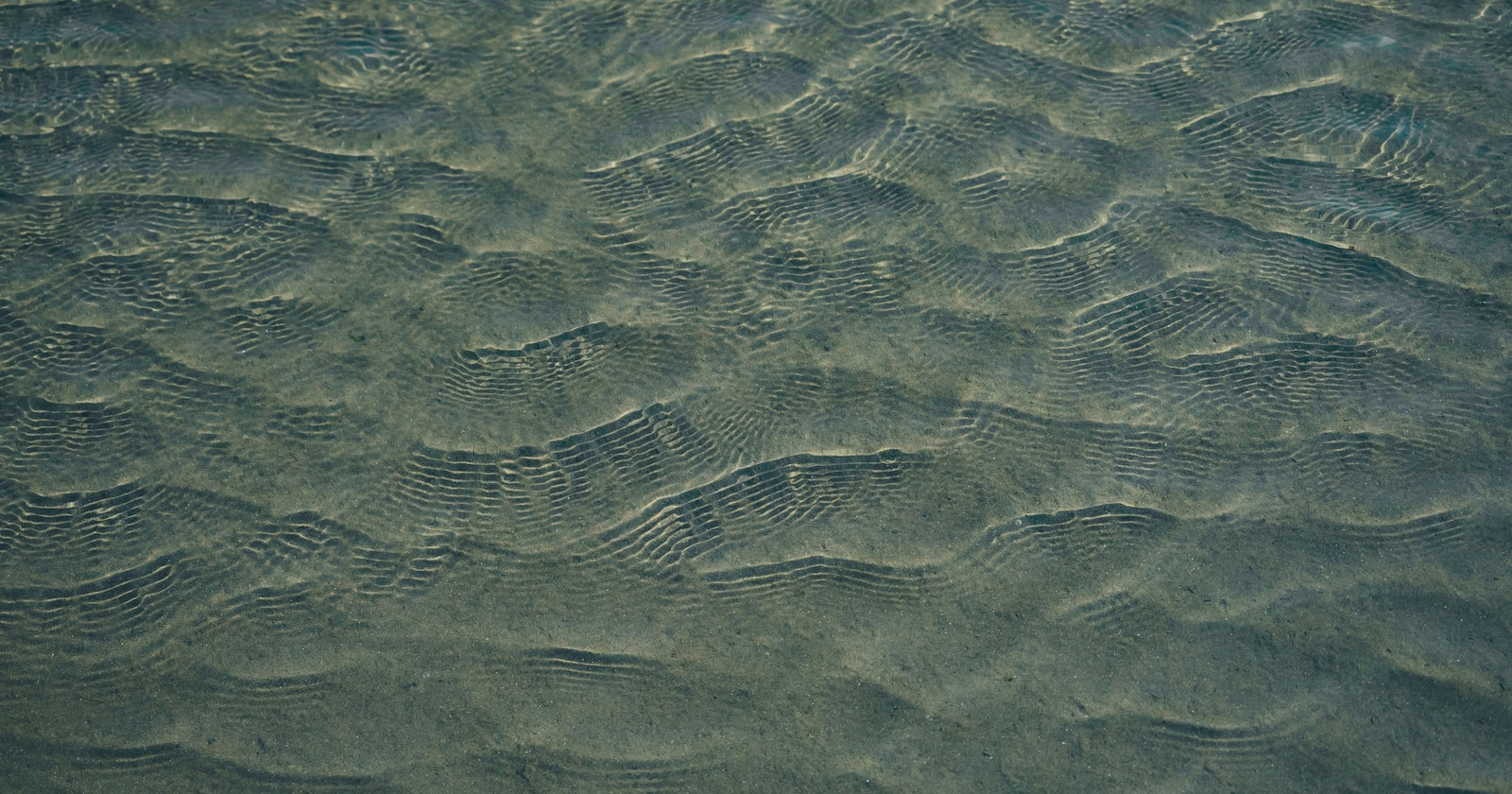 #wave|摇曳盛夏之物|Focus #724
