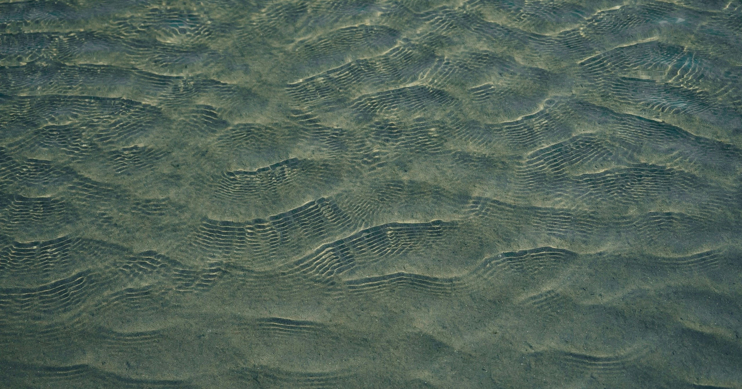 #wave|摇曳盛夏之物|Focus #724