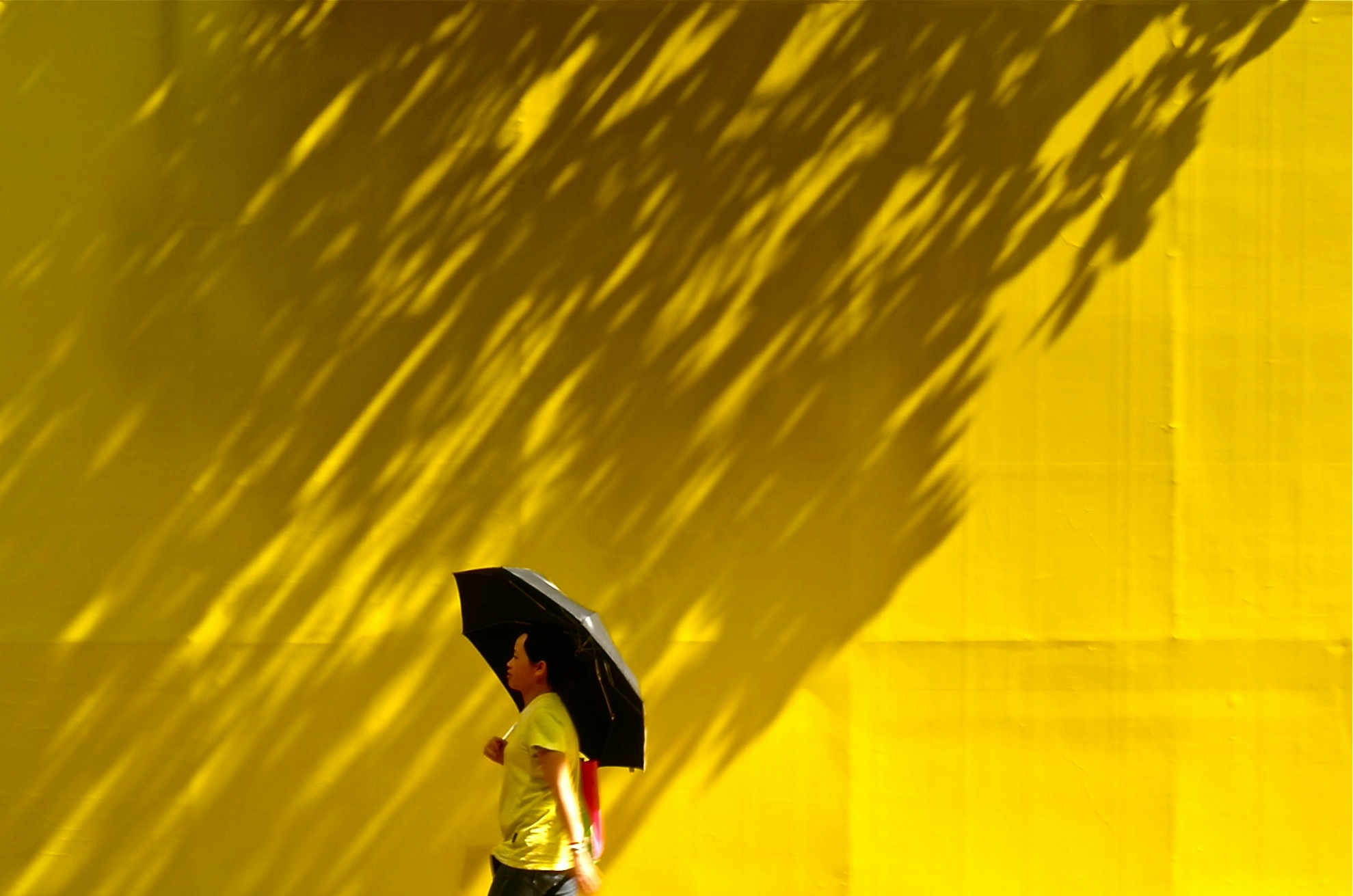 Photo by Sarah Choi