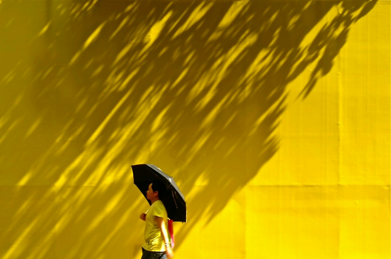Photo by Sarah Choi