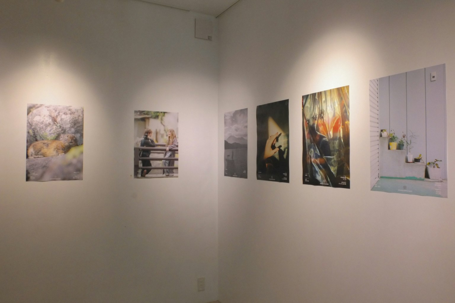 2025-07-photo-poster-project-in-tokyo-report-image-8