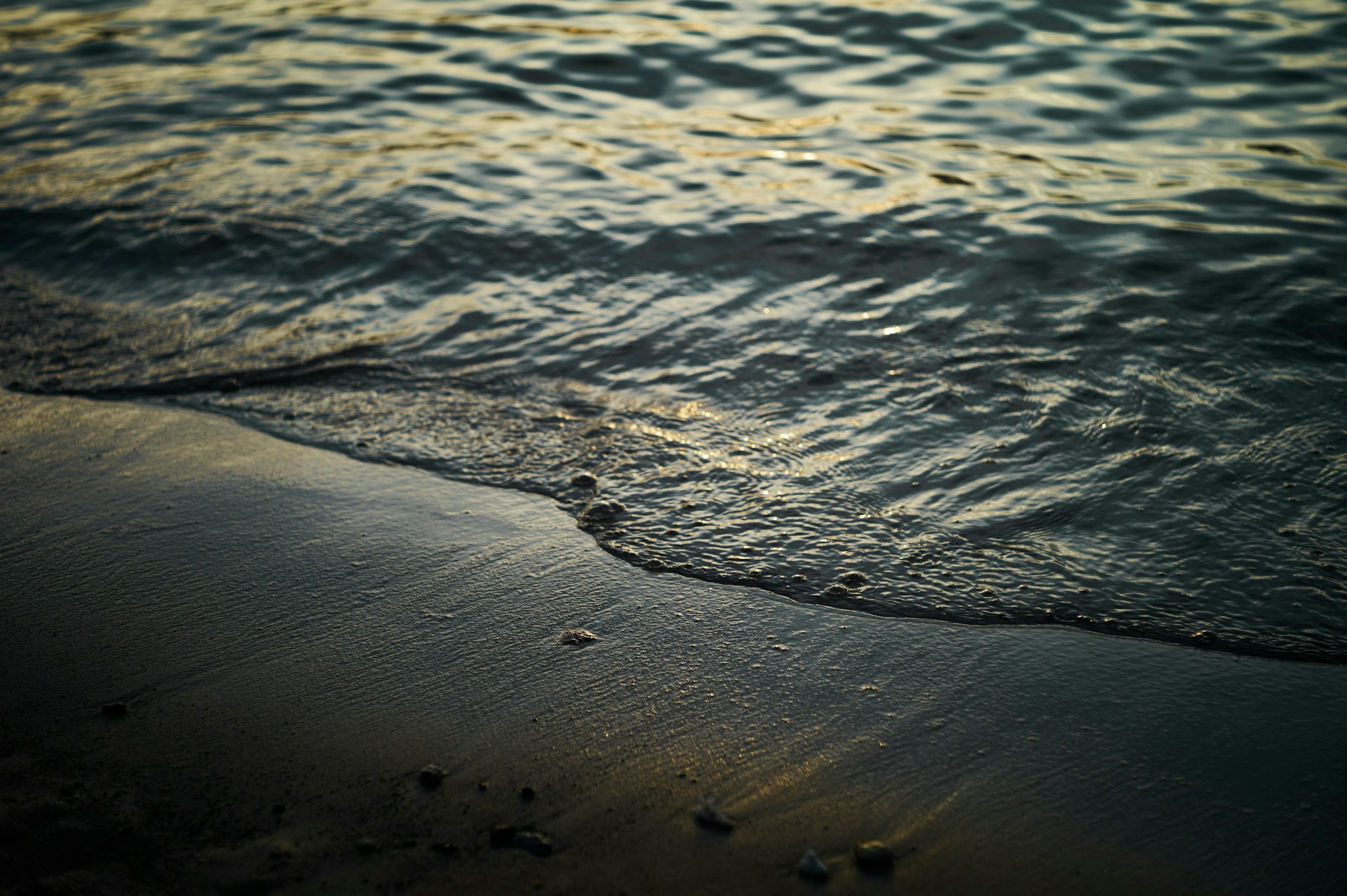2026-04-stay-inspired-photography-image-19