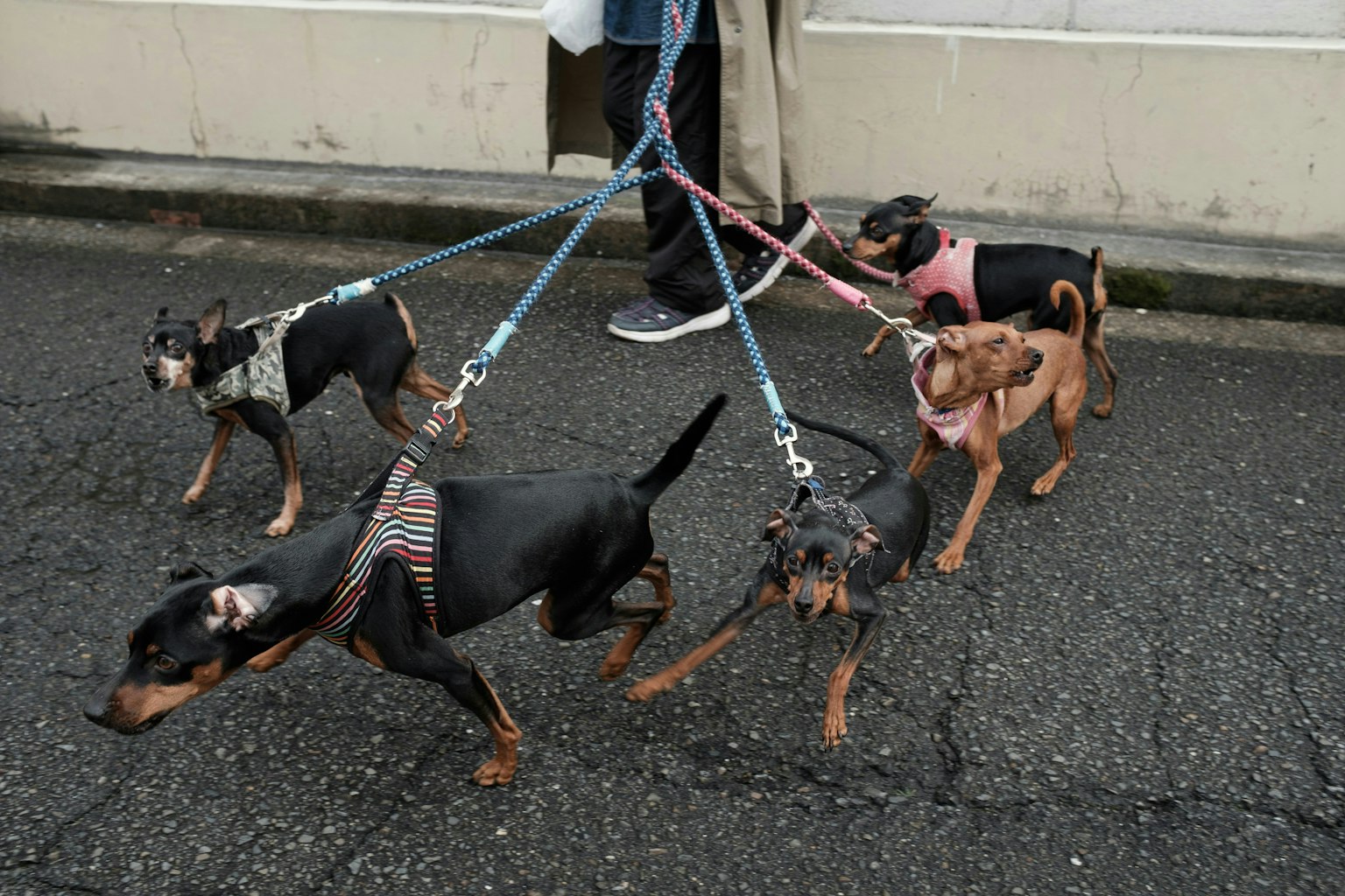 2025-05-how-cmos-sensors-work-image-2