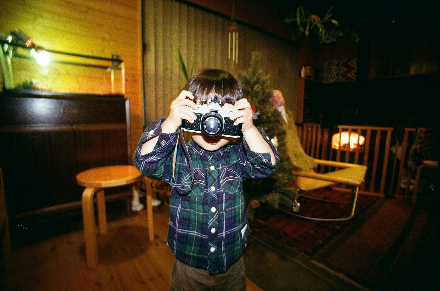 2025-02-lucky-film-revival-image-5