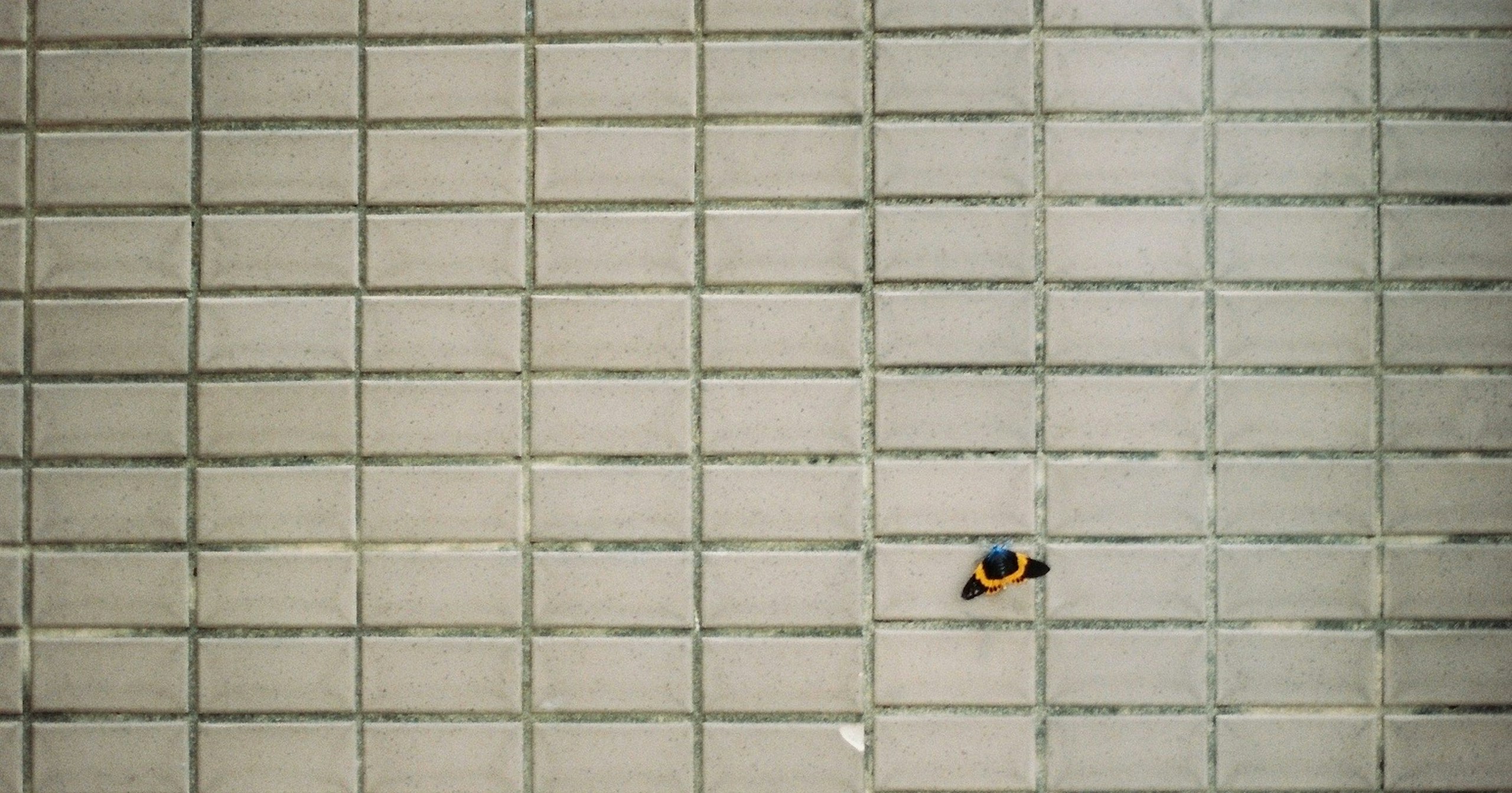 2026-07-nothing-but-one-cover-image