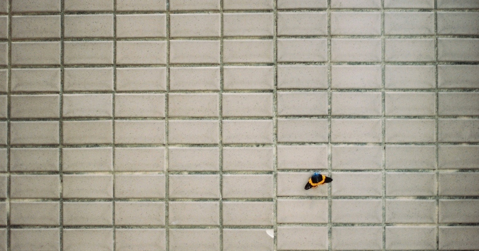 2026-07-nothing-but-one-cover-image