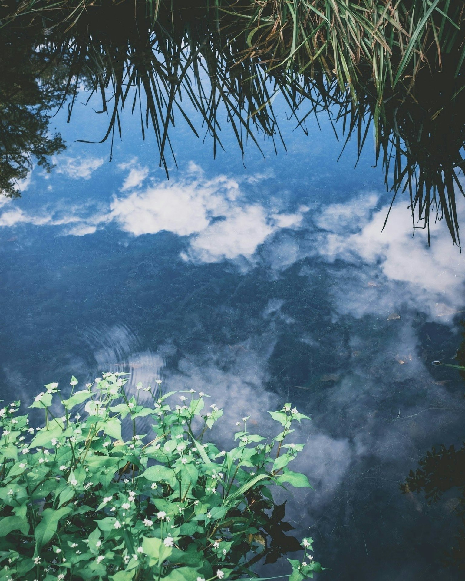 2025-11-cloud-in-photography-image-13