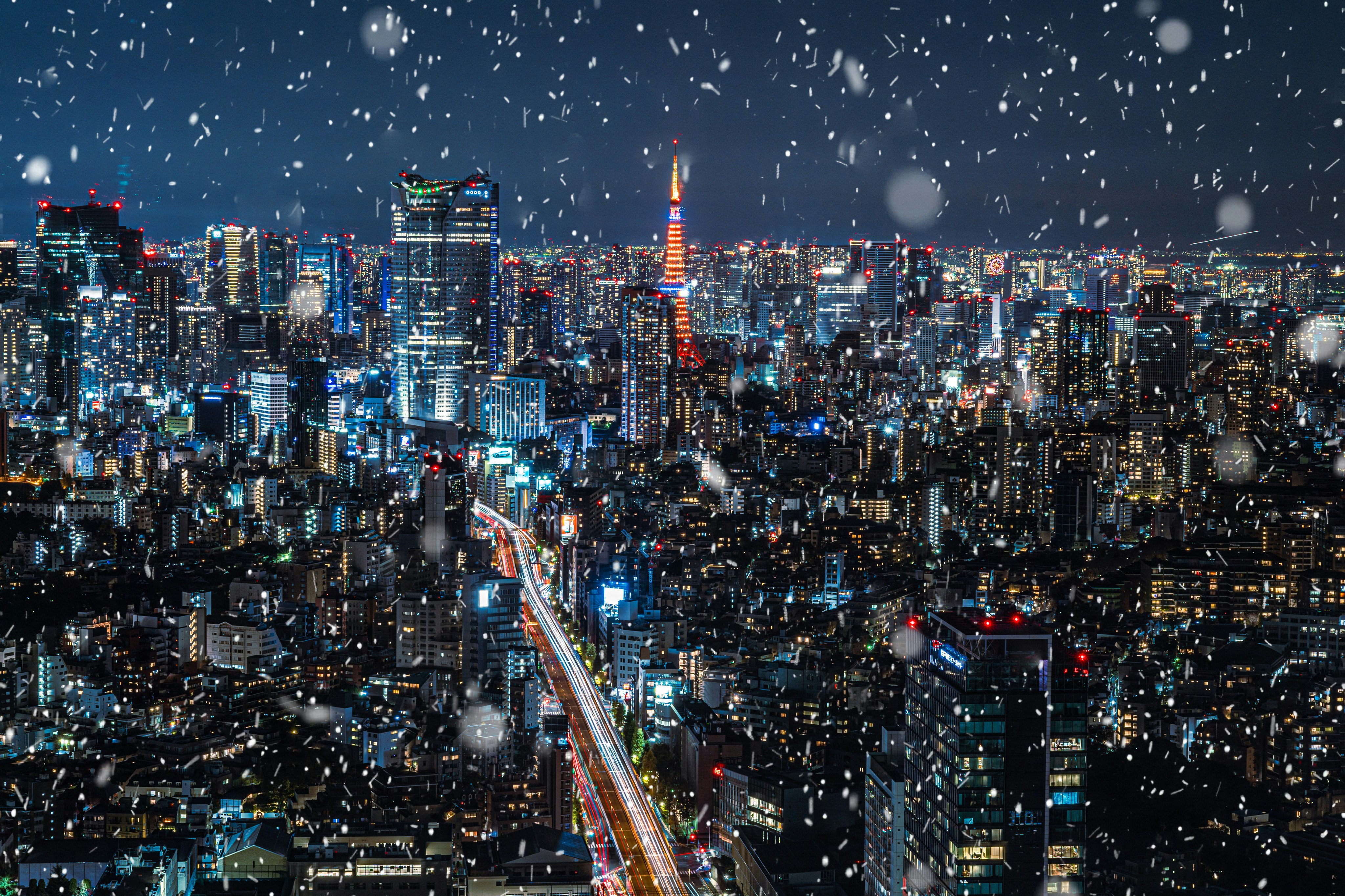 2025-12-ppp-in-tokyo-2-cover-image