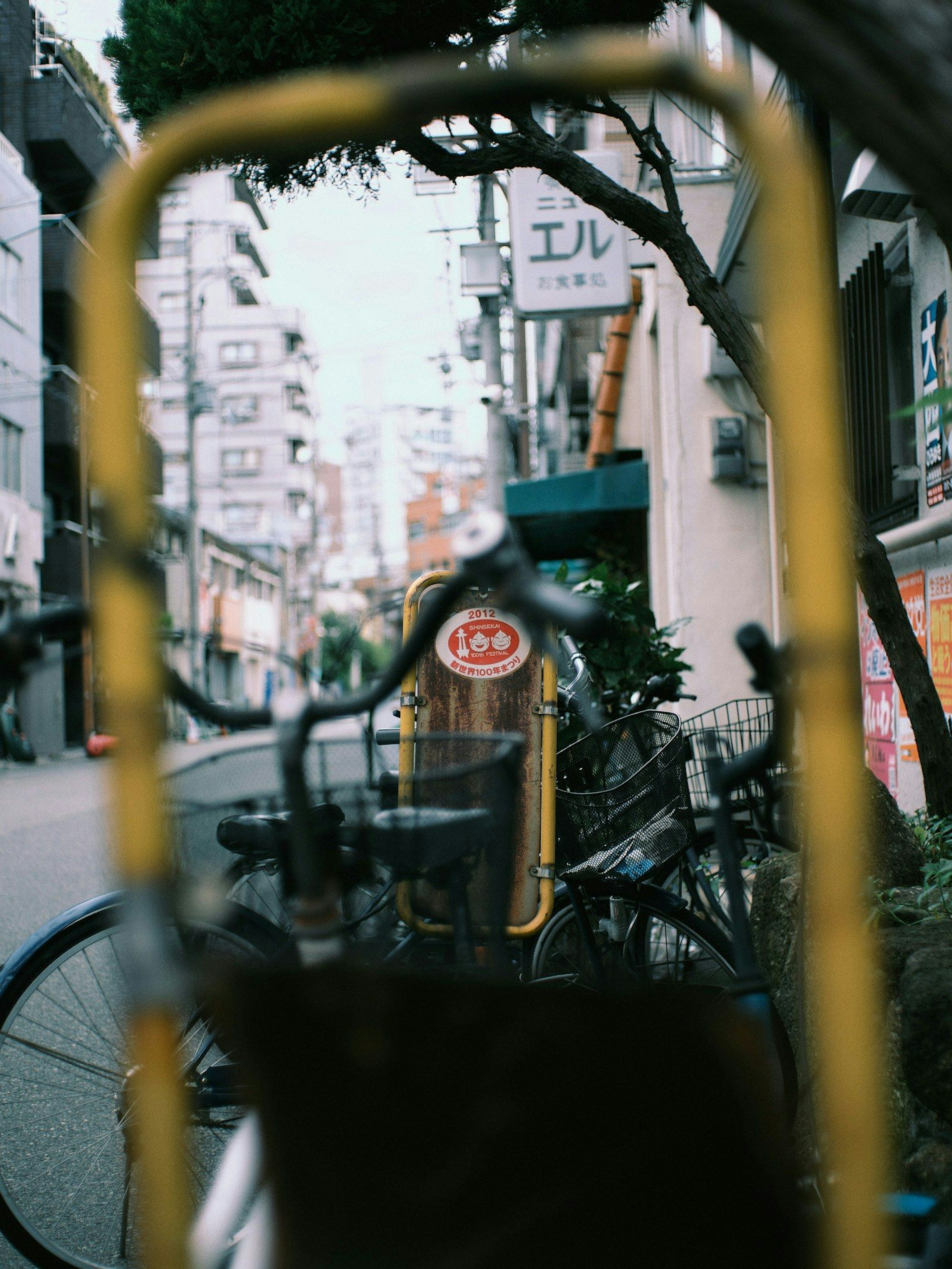 2024-12-hao-daily-color-memories-image-14