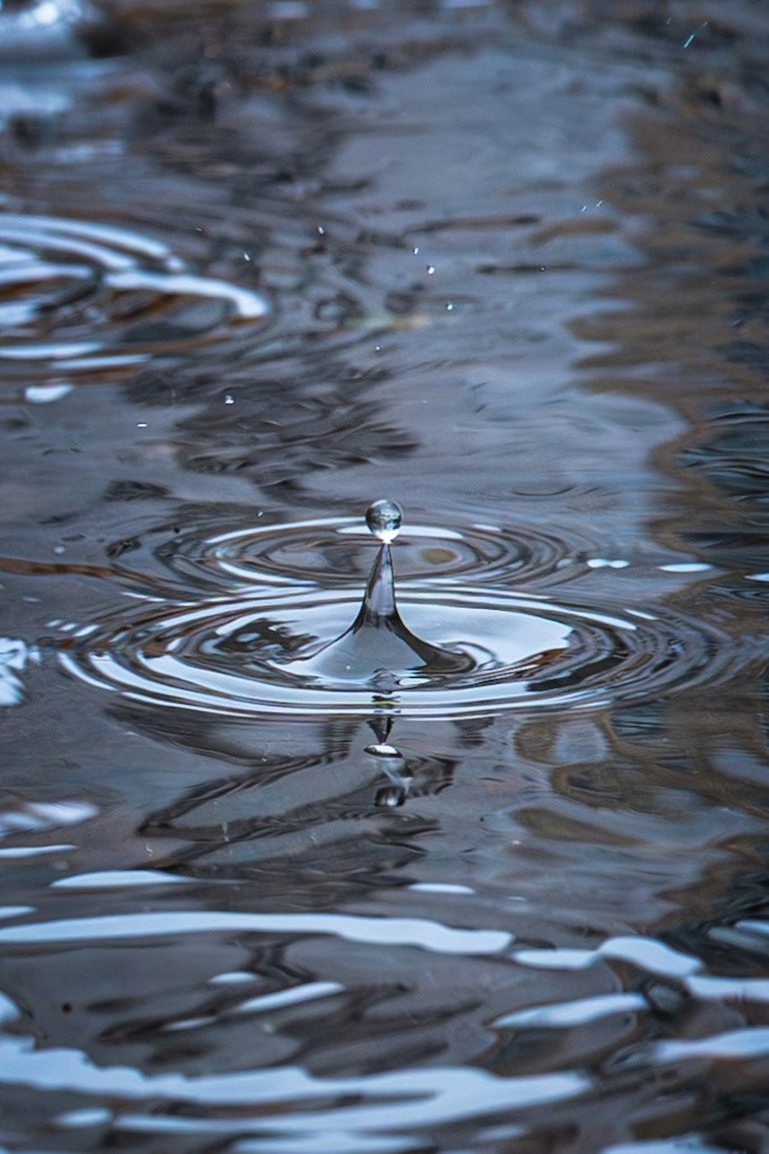 2025-09-water-image-6