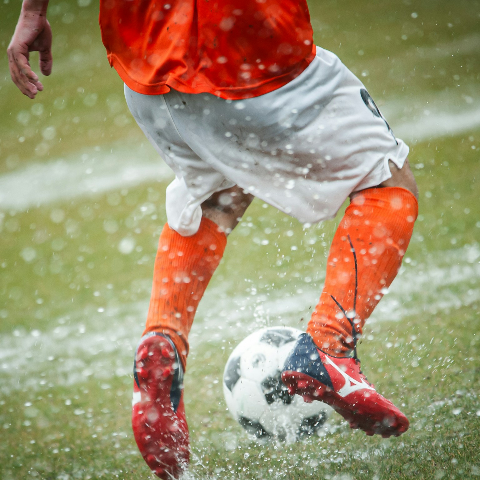 2024-05-speed-cover-image