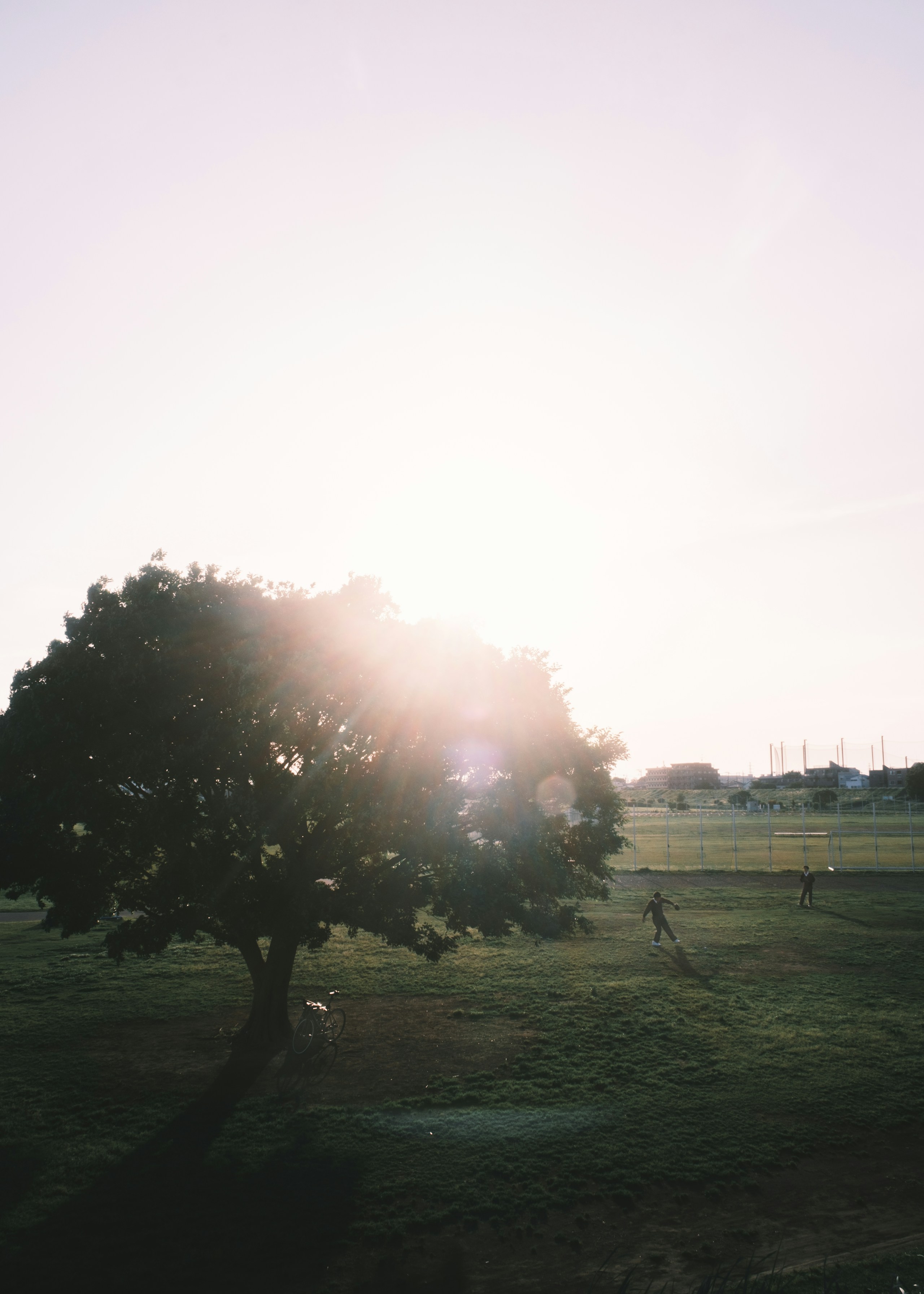 Photo by takuokaneko