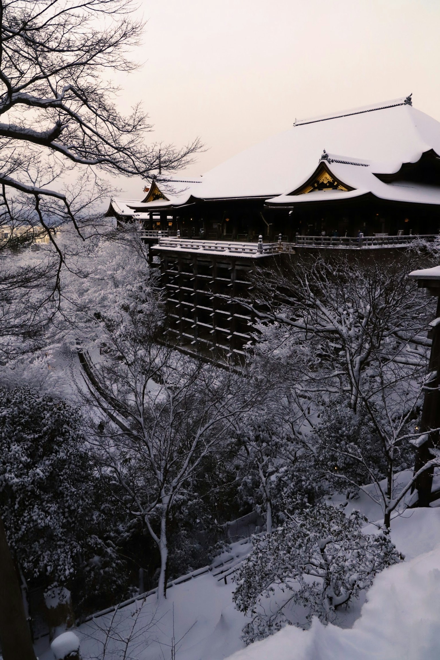 2023-10-meet-hot-kyoto-introduction-image-9