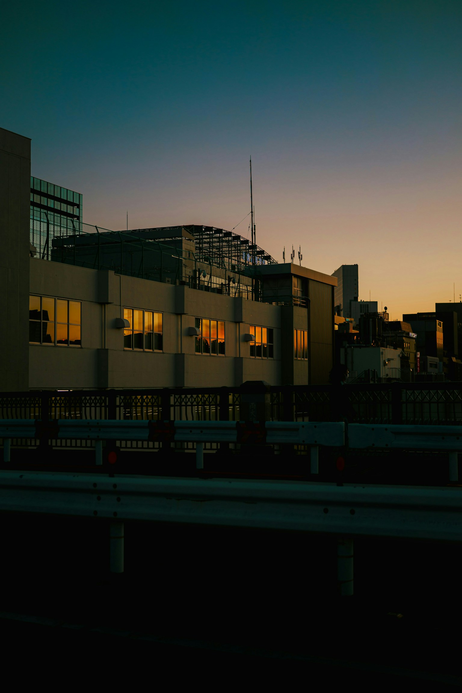 2025-04-color-temperature-white-balance-image-4