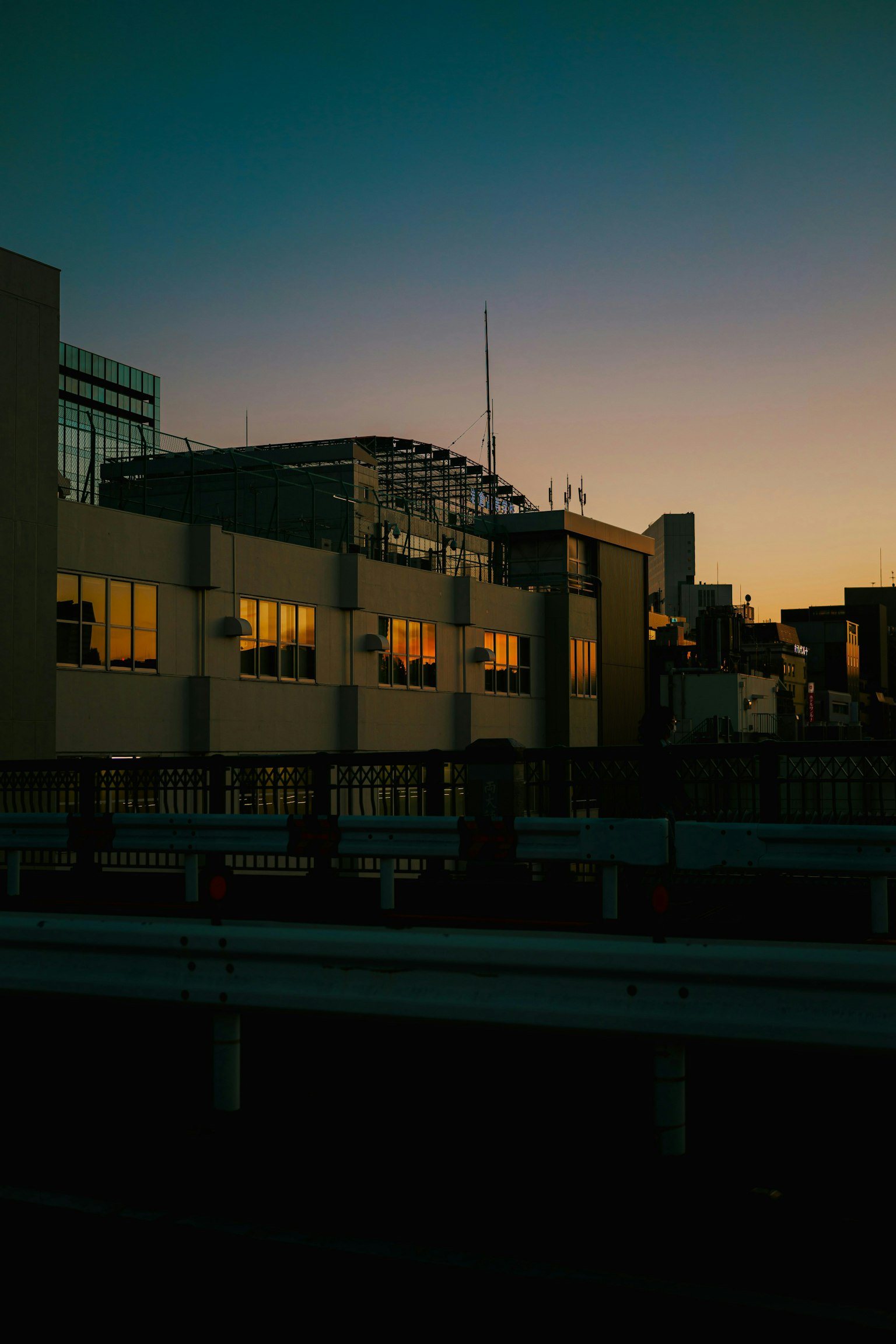 2025-04-color-temperature-white-balance-image-4